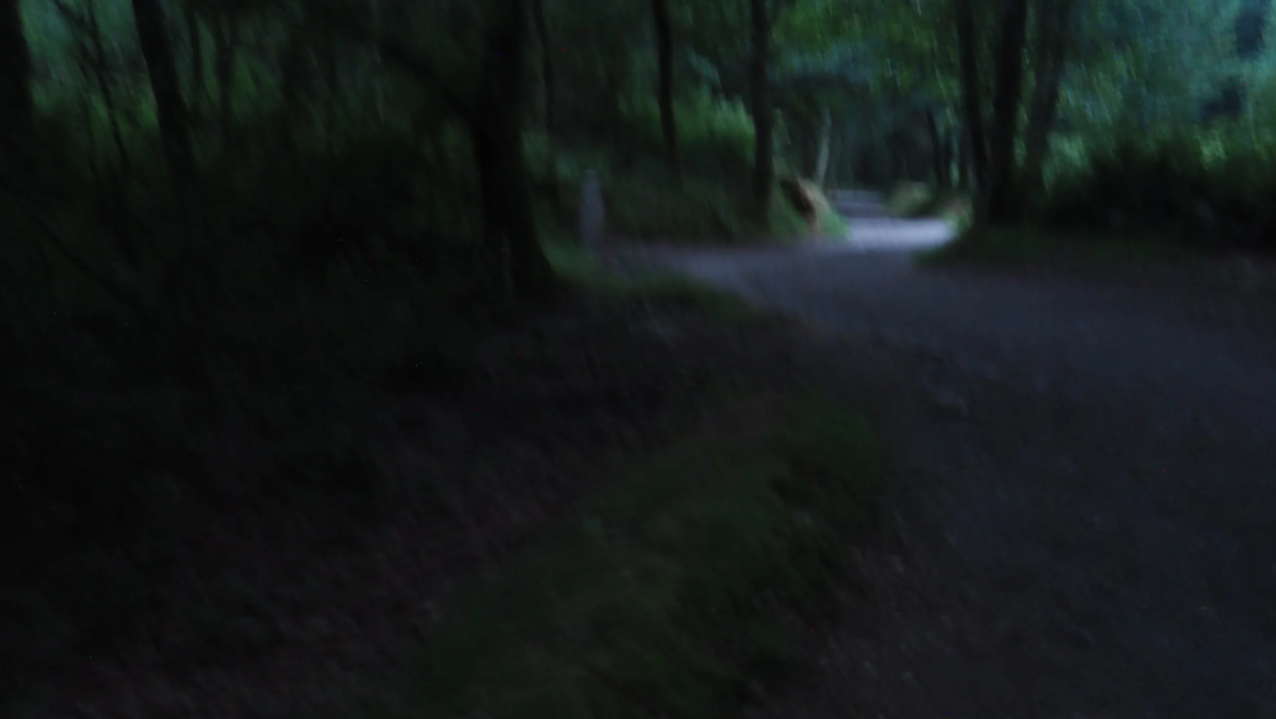 P5290009.JPG