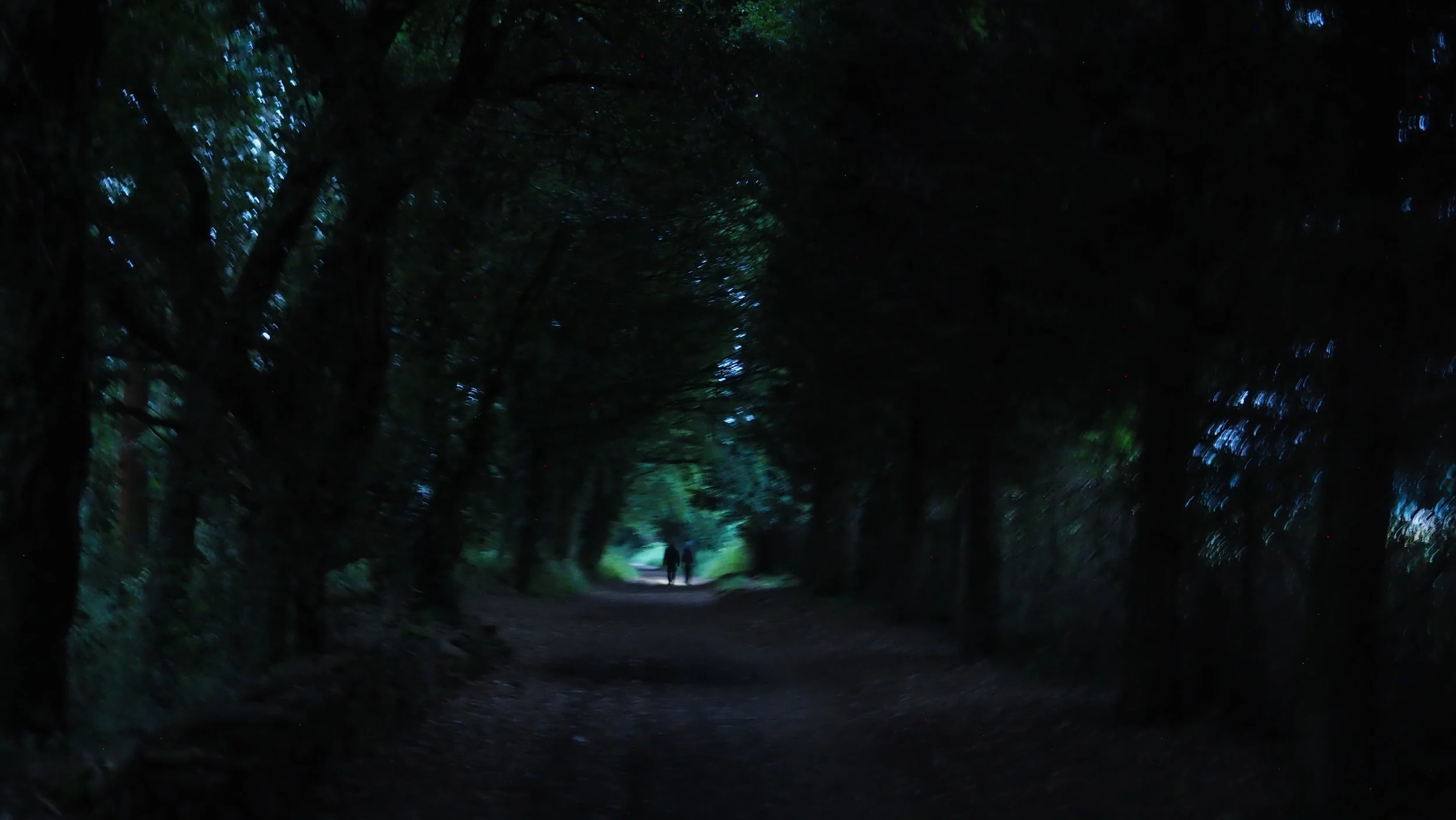P5300002.JPG