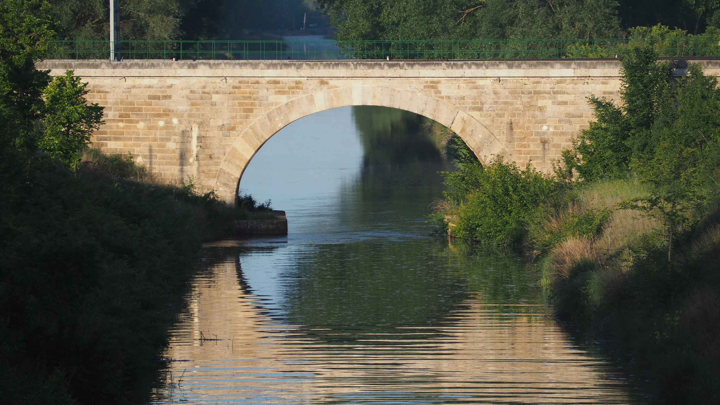 P5141722.JPG