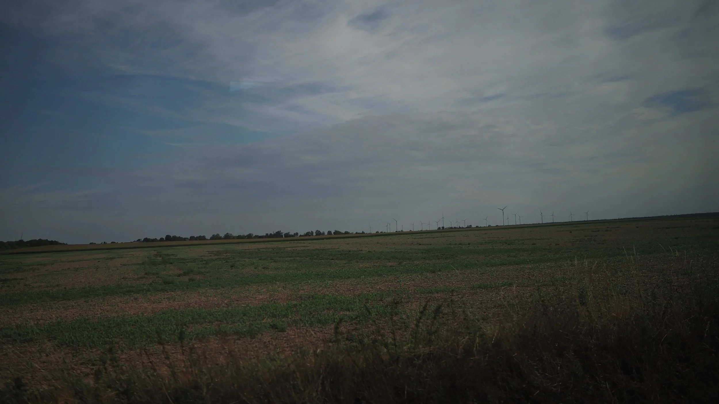 P8100026.JPG