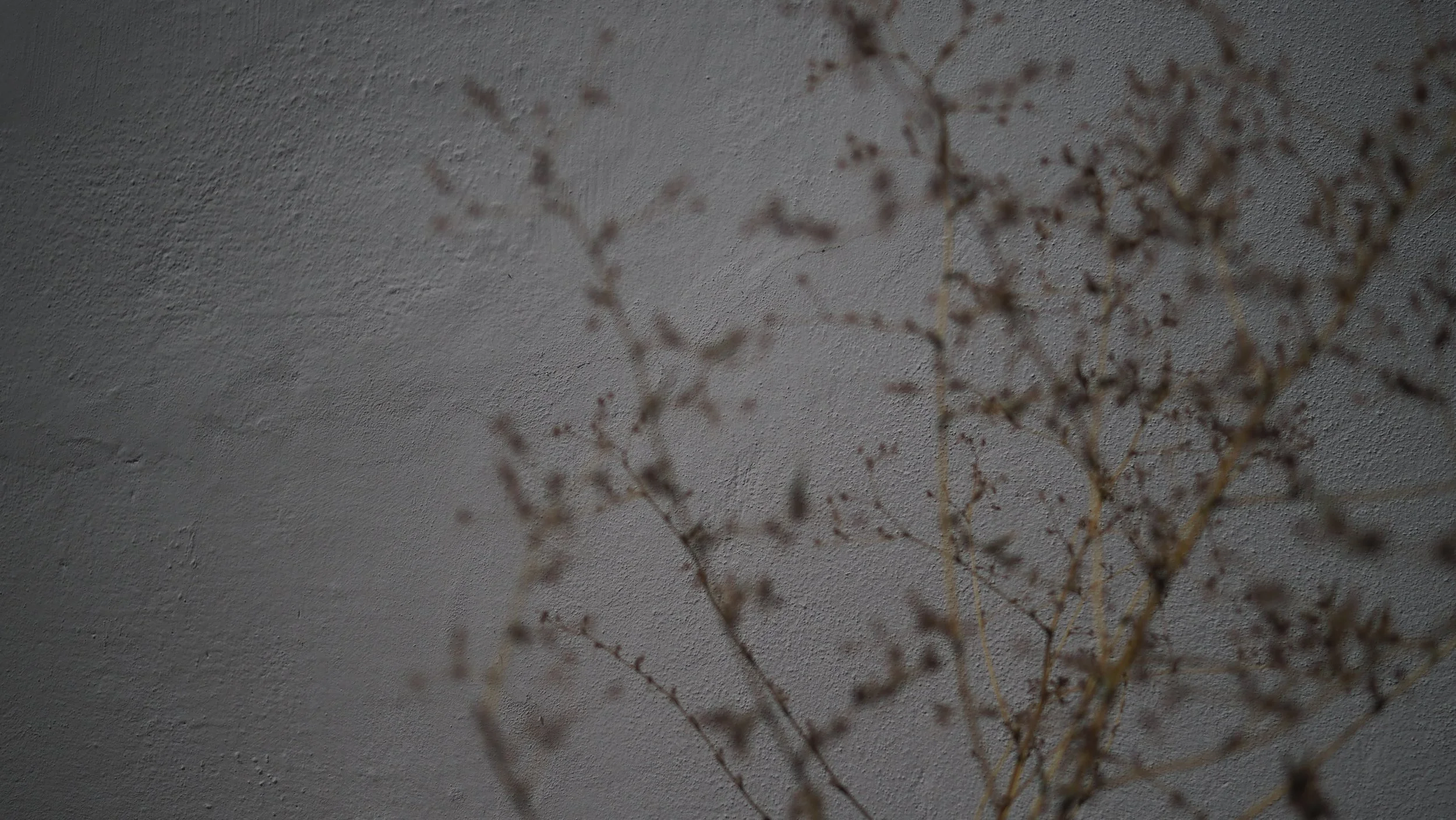 P8180070.JPG