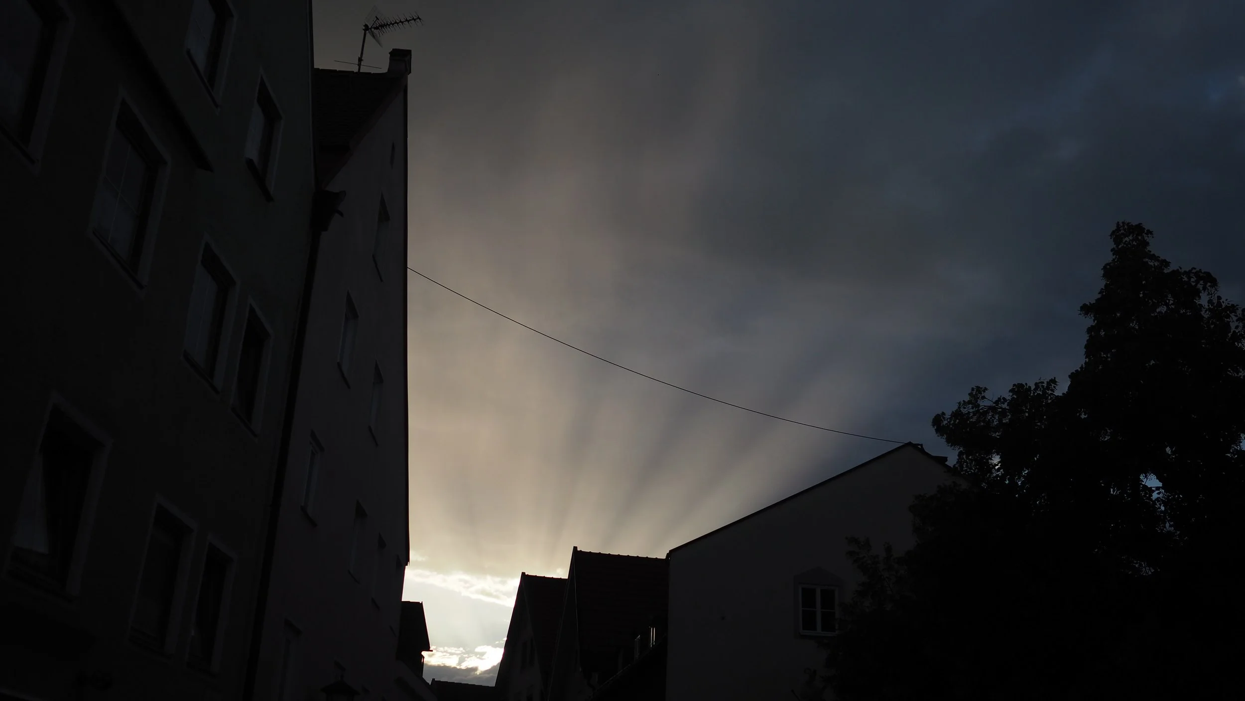 P8100091.JPG