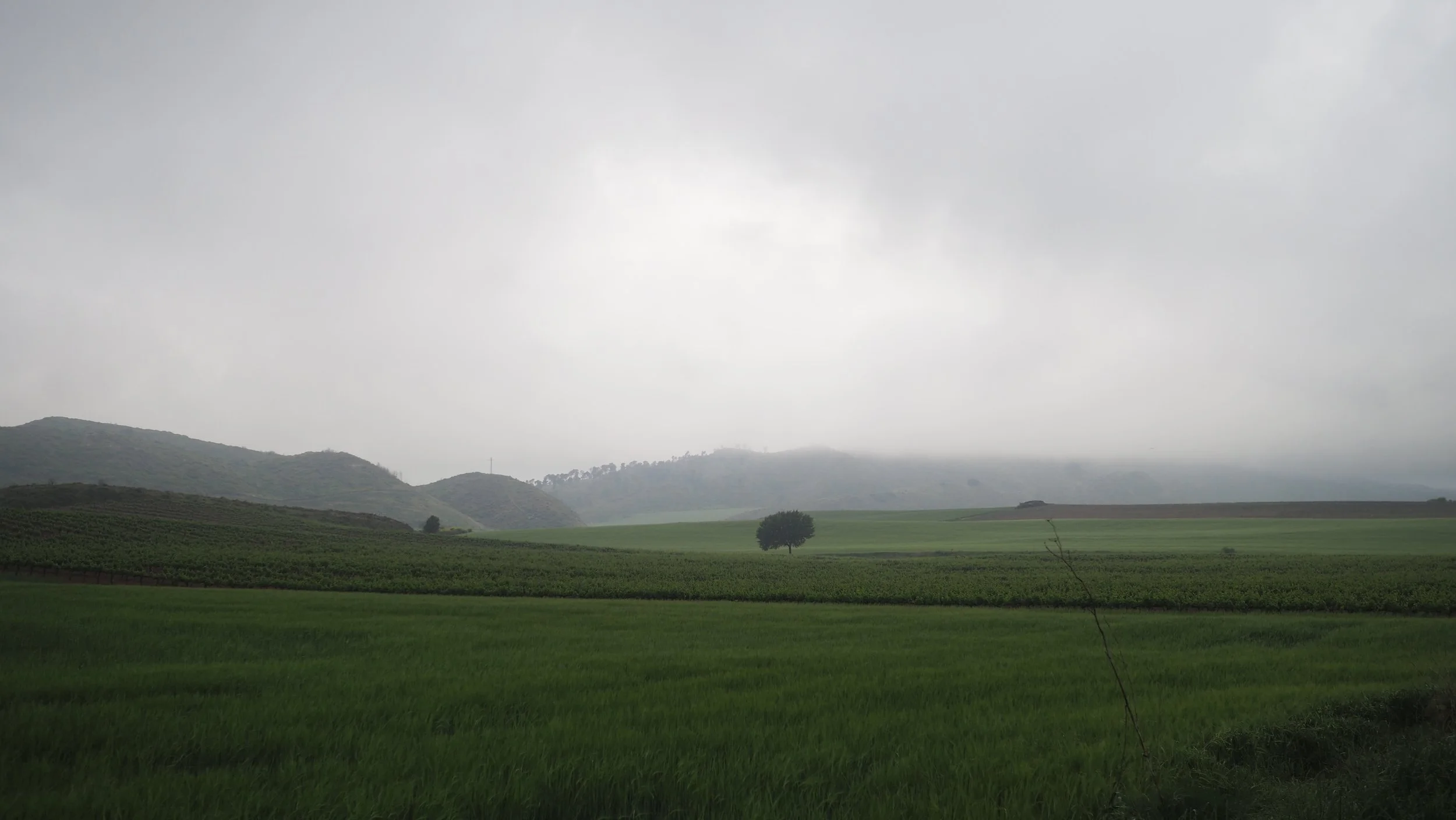 P5040467.JPG