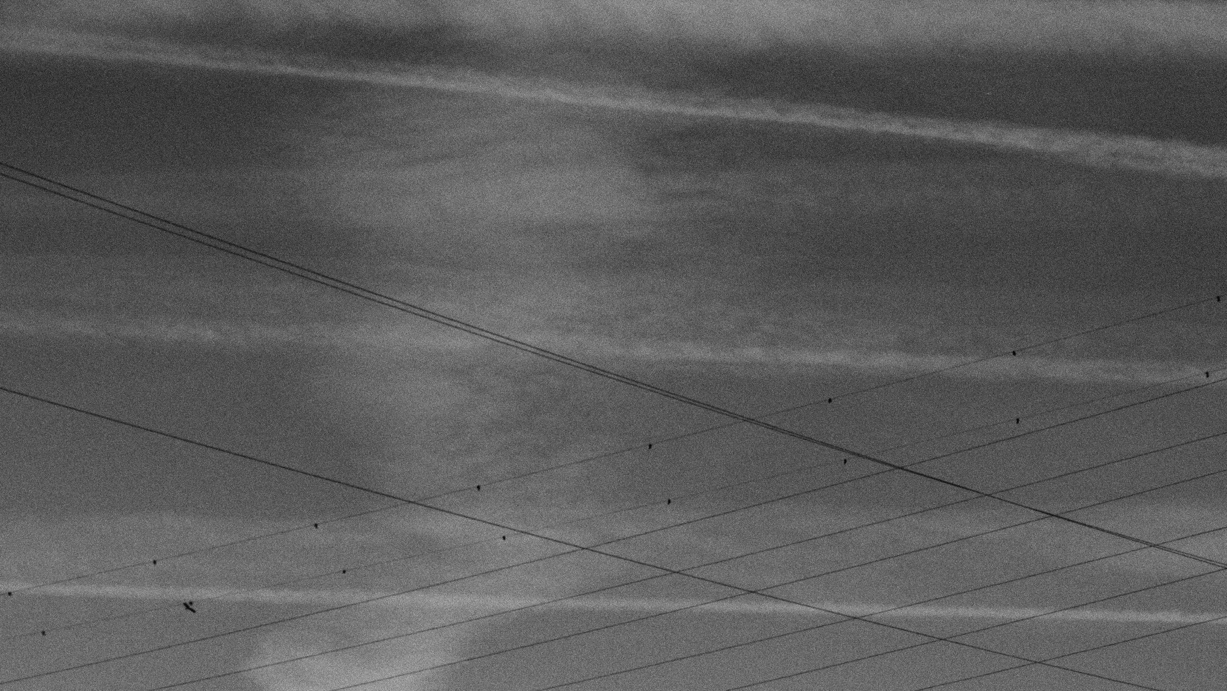 P5182255.JPG