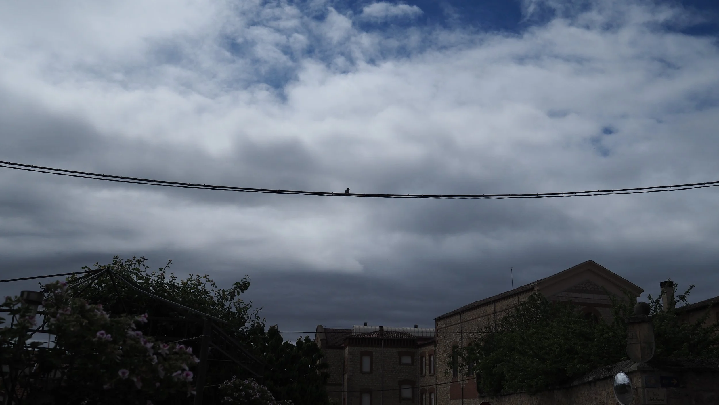 P5111280.JPG