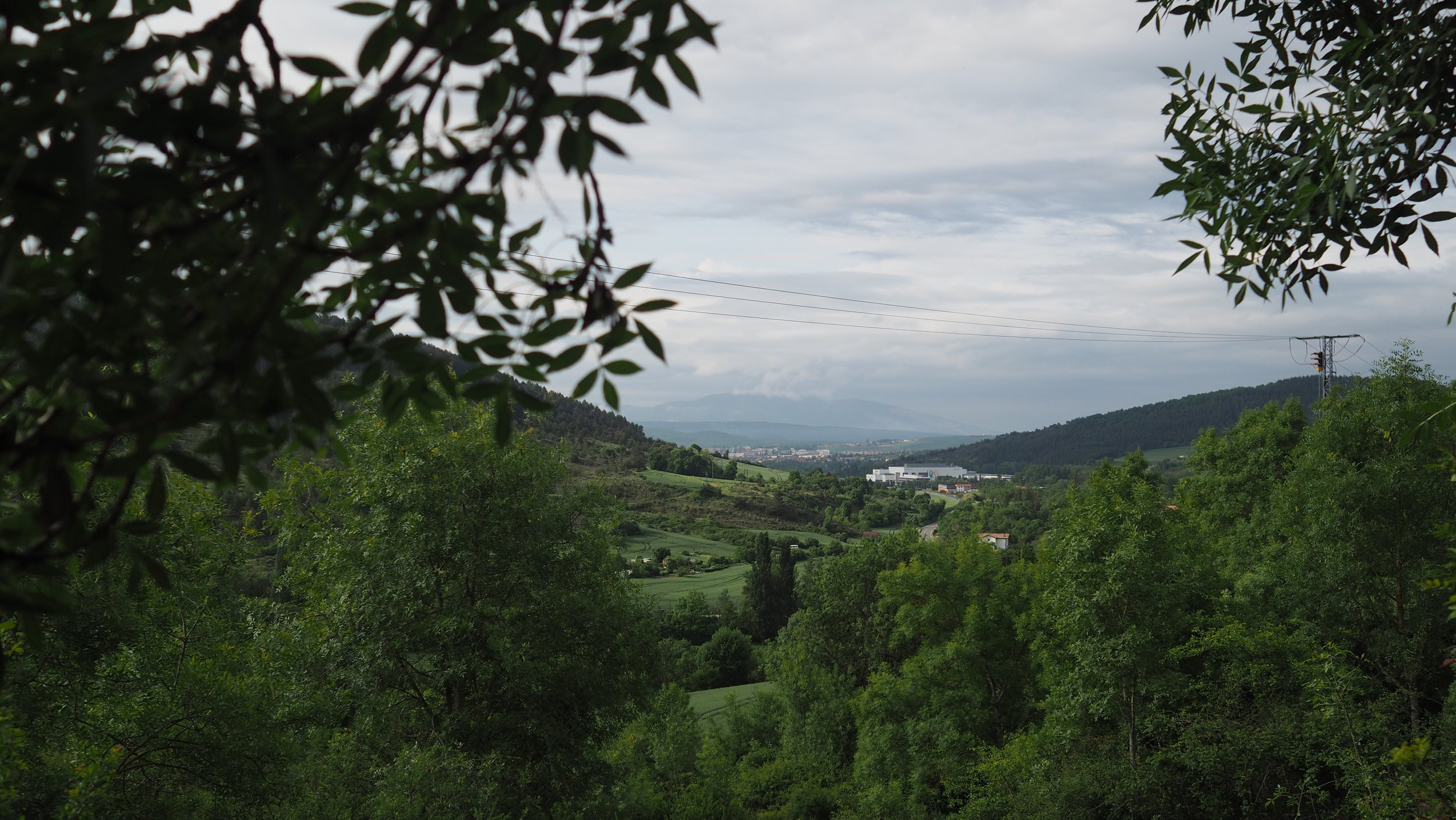 P5010142.JPG