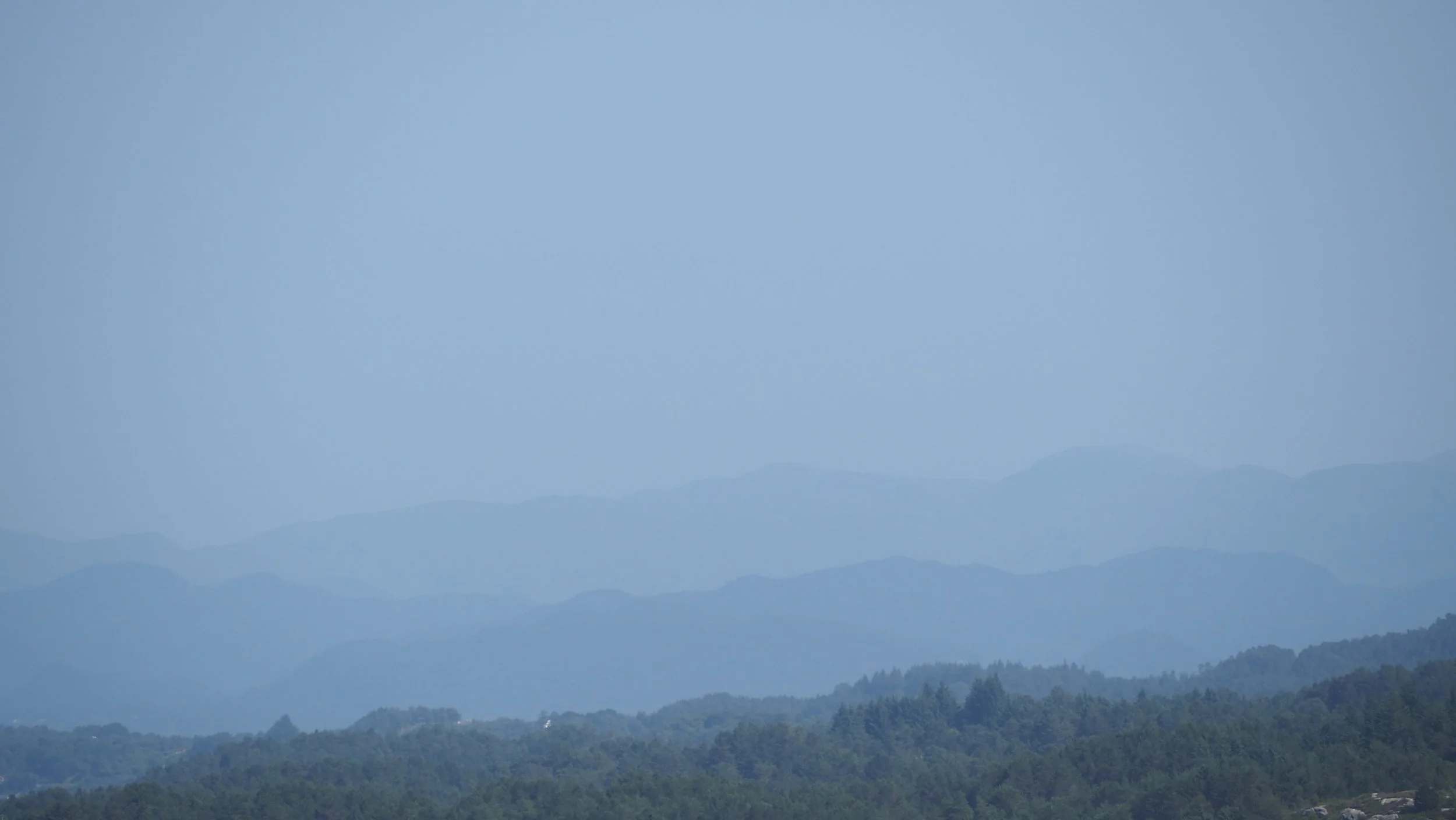 P7130011.JPG