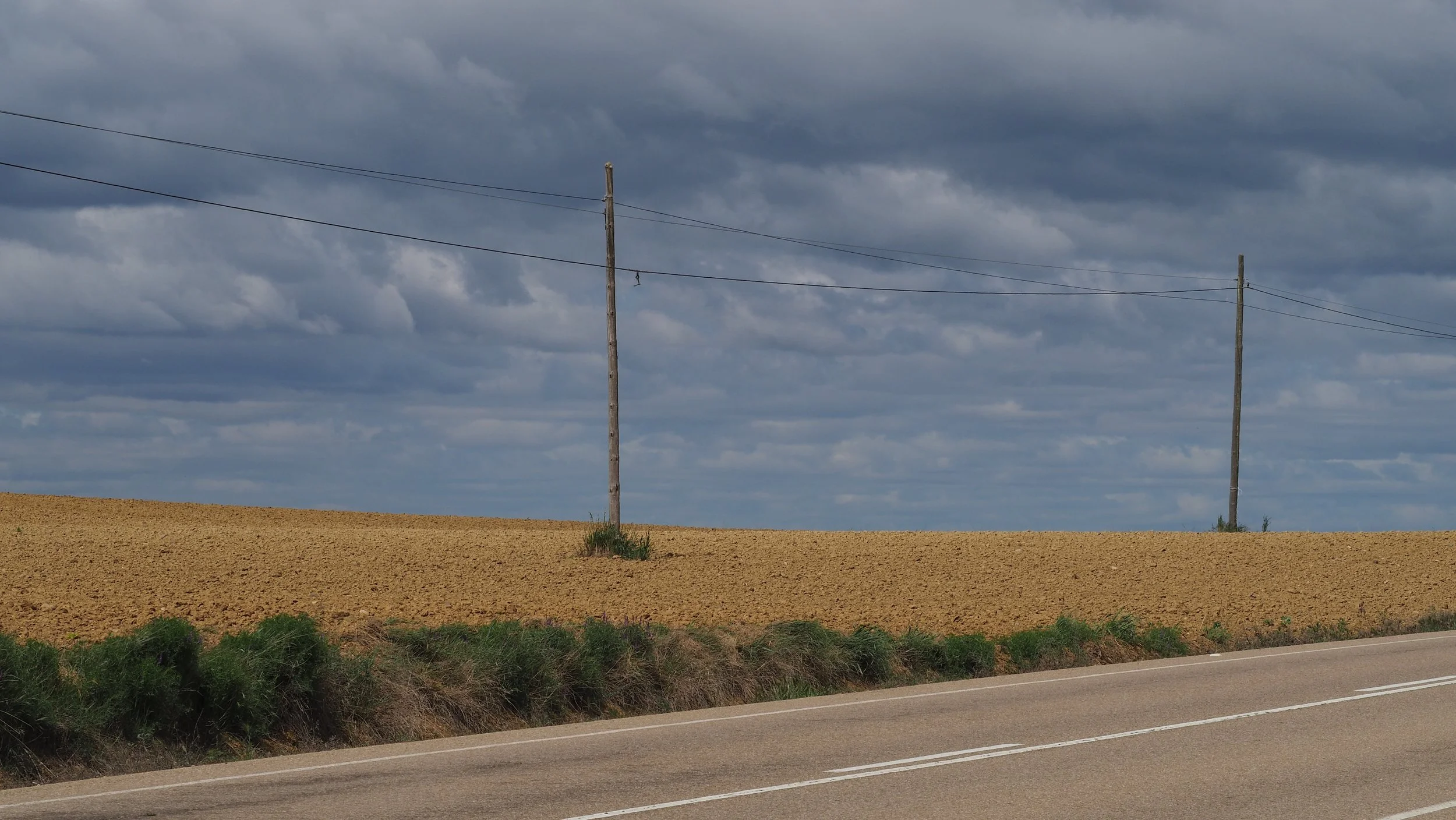 P5141812.JPG