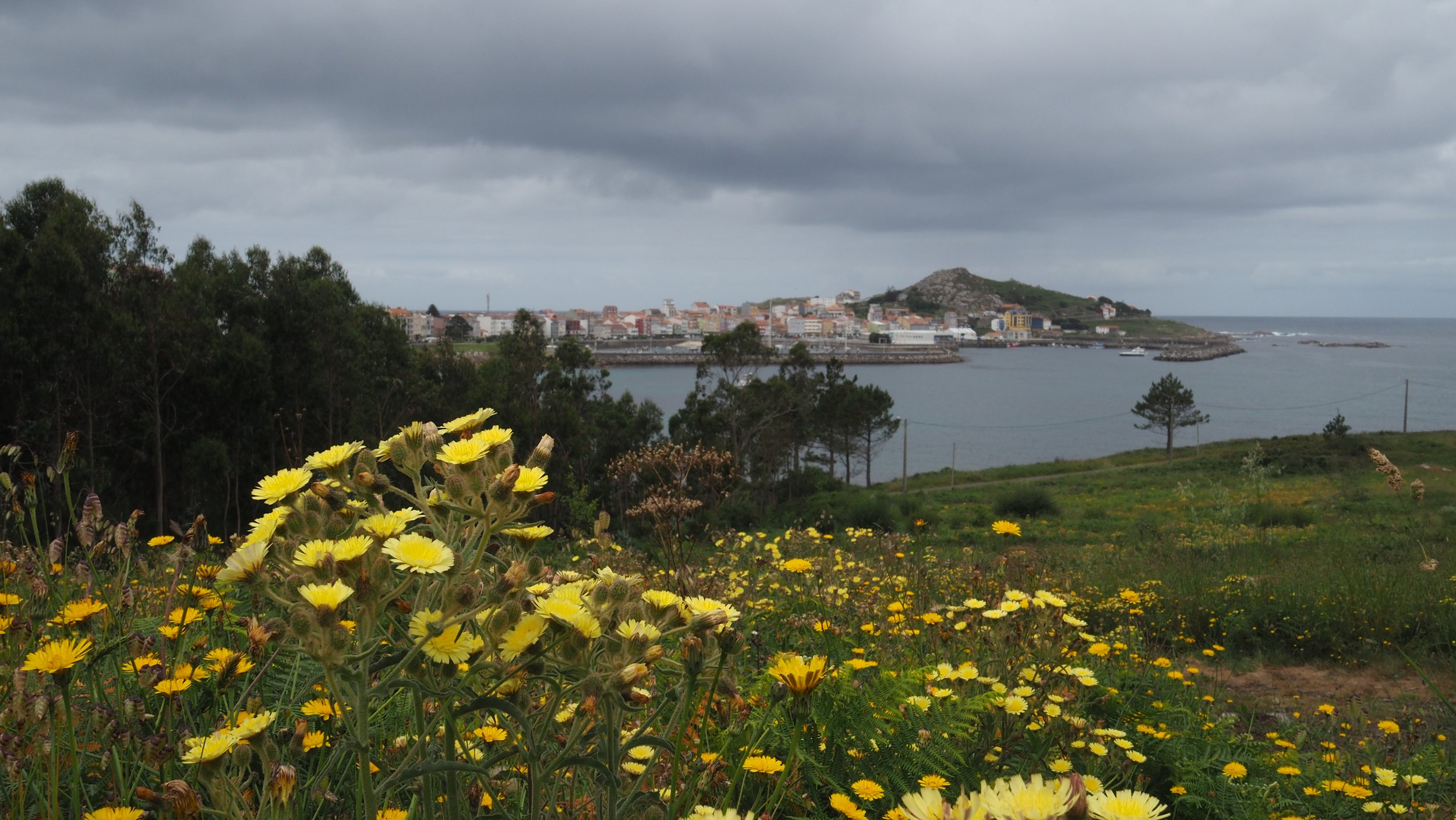 P6020477.JPG