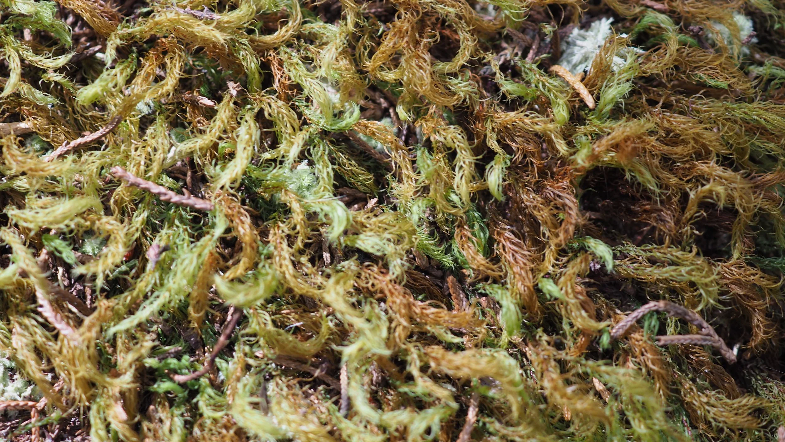 P9170014.JPG