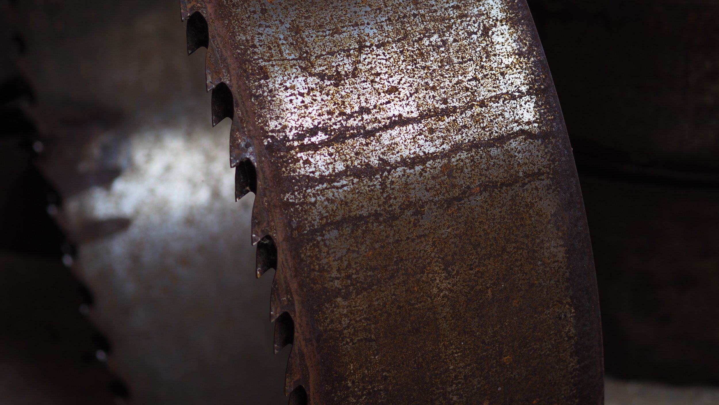 PA180317.JPG