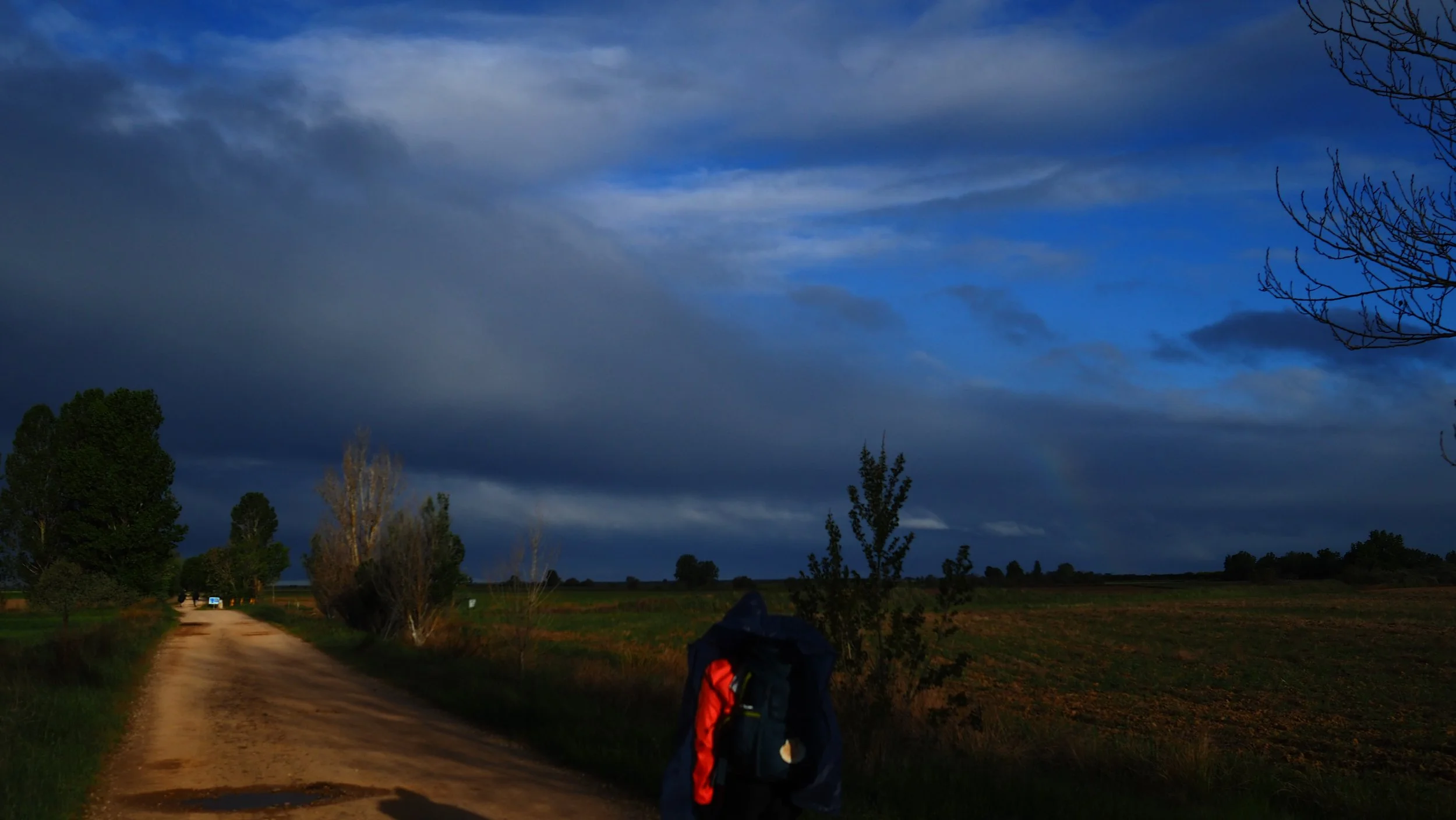 P5151855.JPG