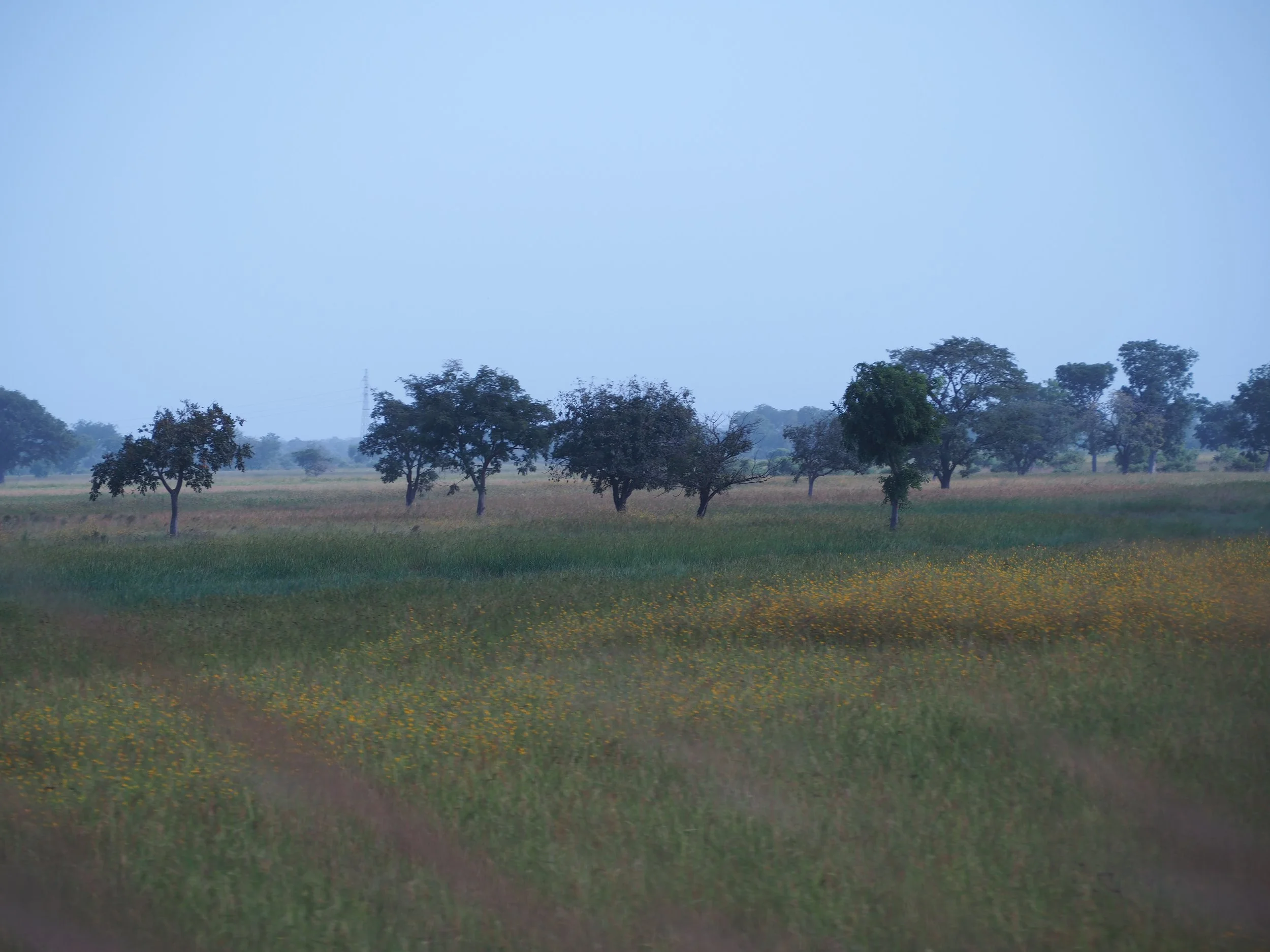 IMG_7779.JPG