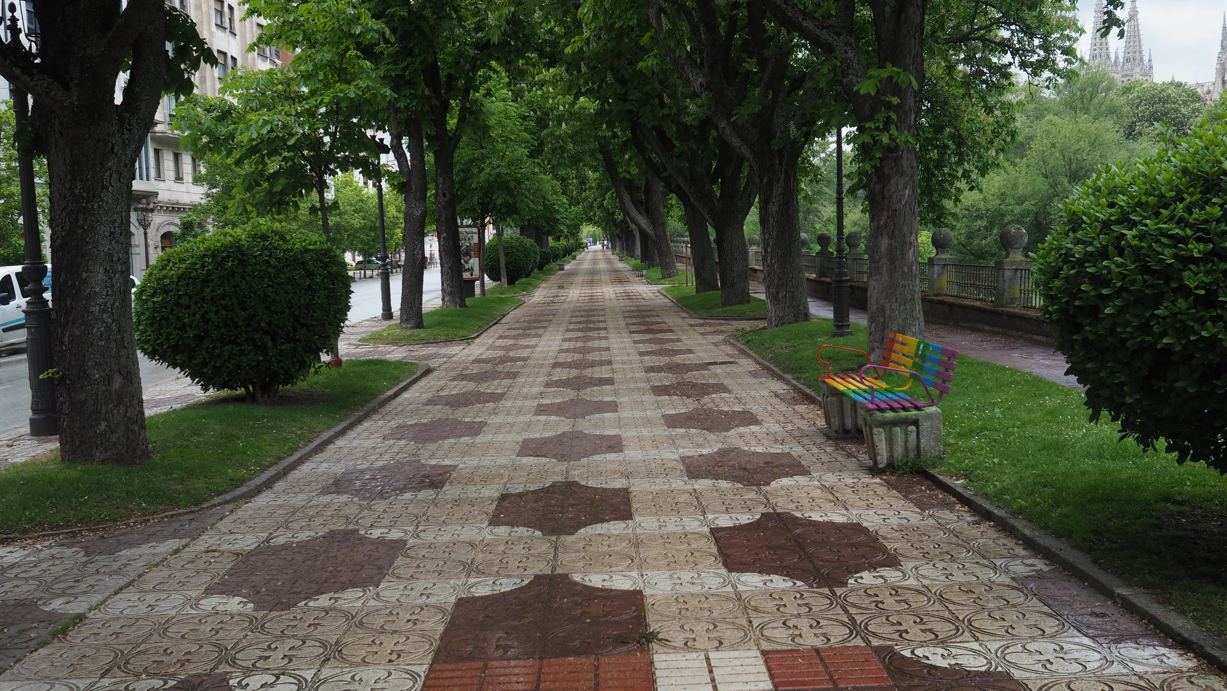 P5101145.JPG