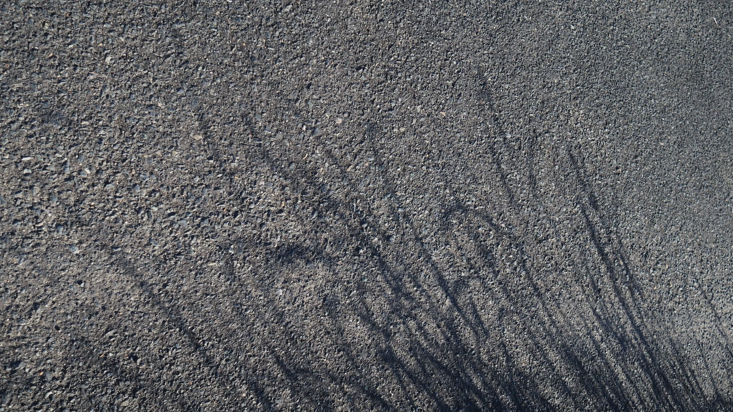 P5310157.JPG