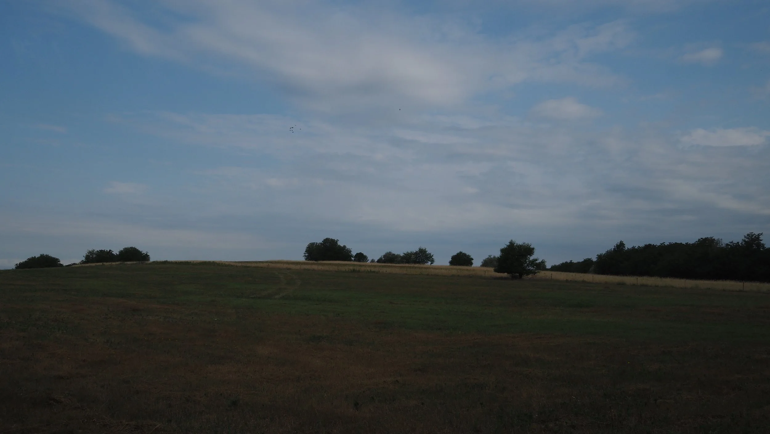 P7020015.JPG