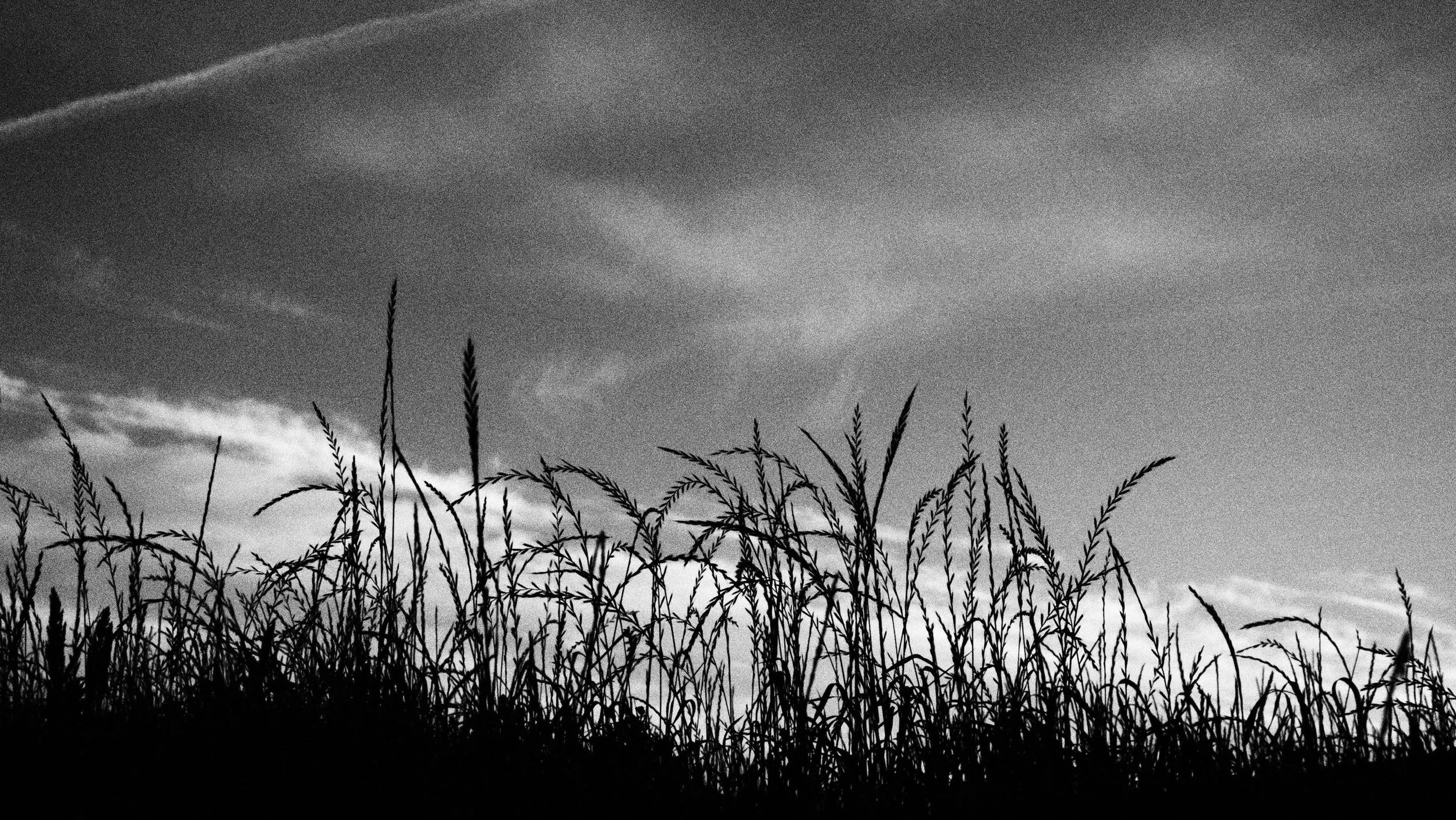 P6010266.JPG