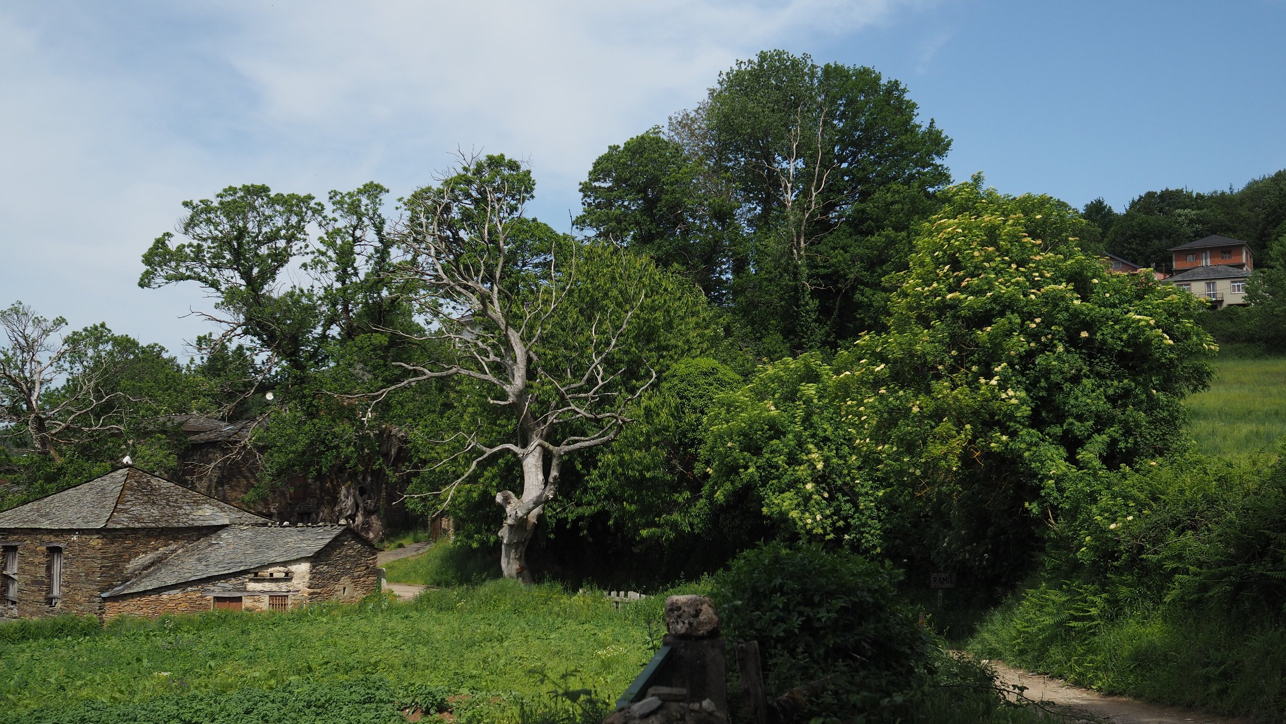 P5250109.JPG