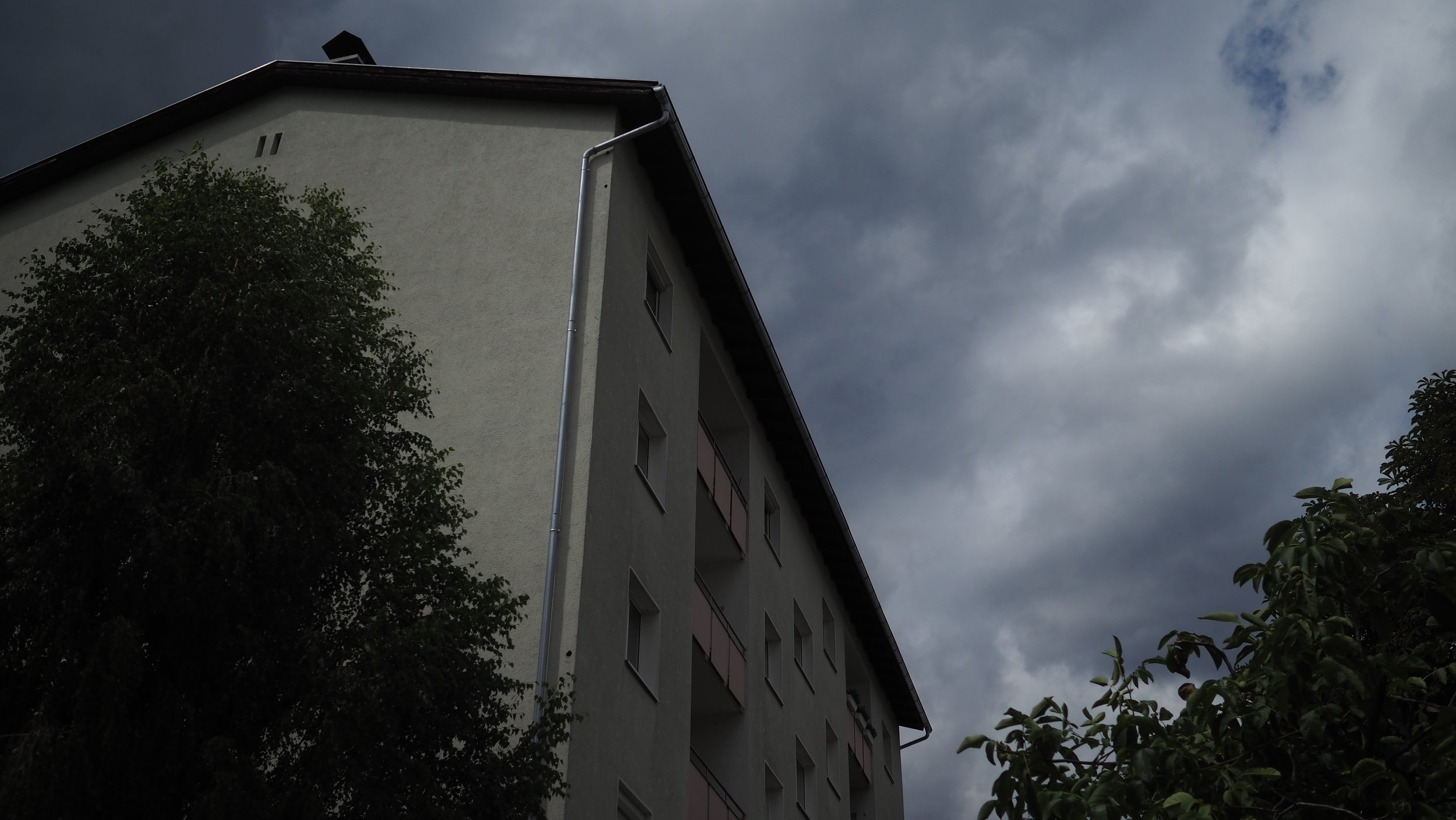 P8180025.JPG