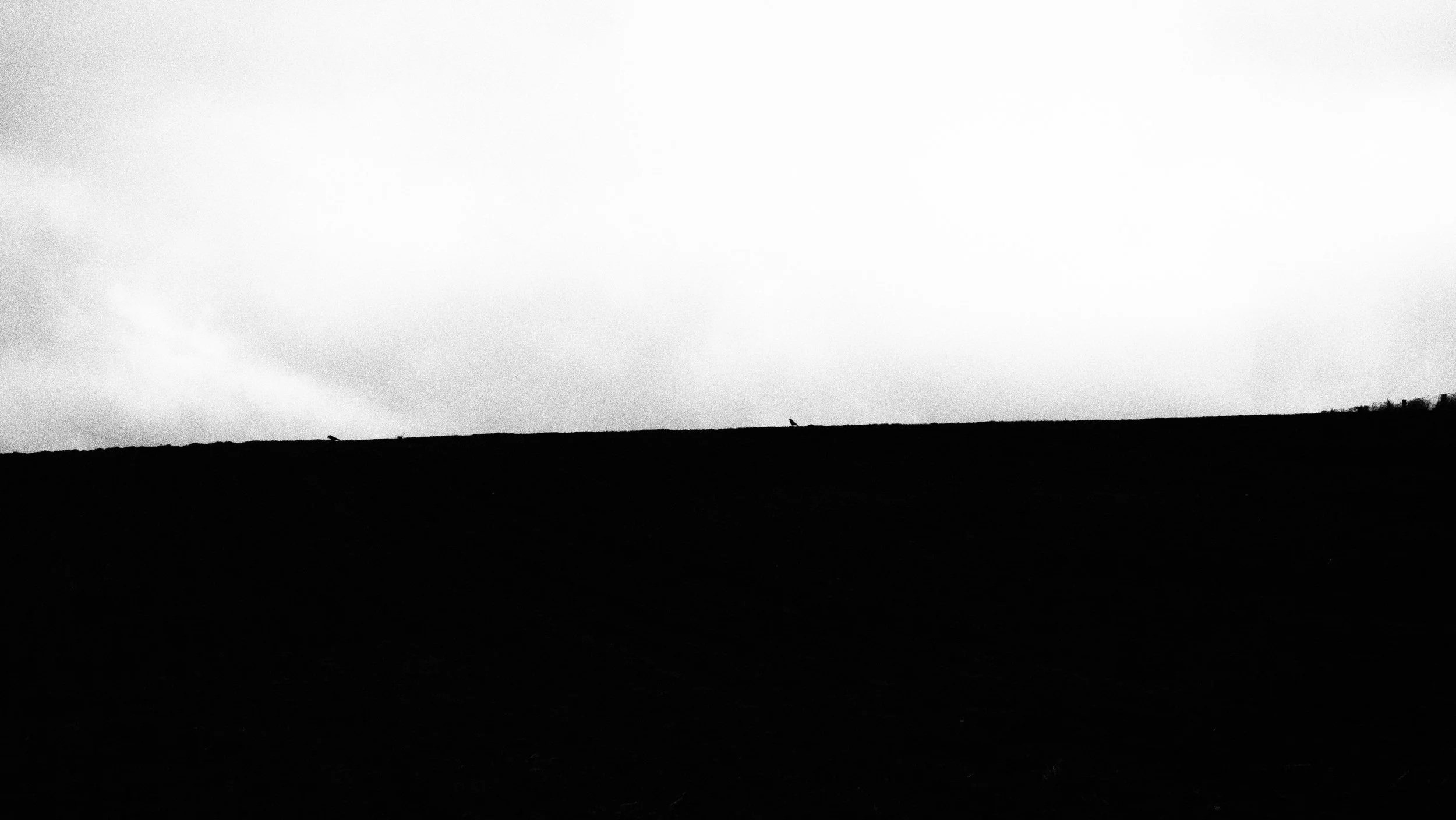 P6010325.JPG