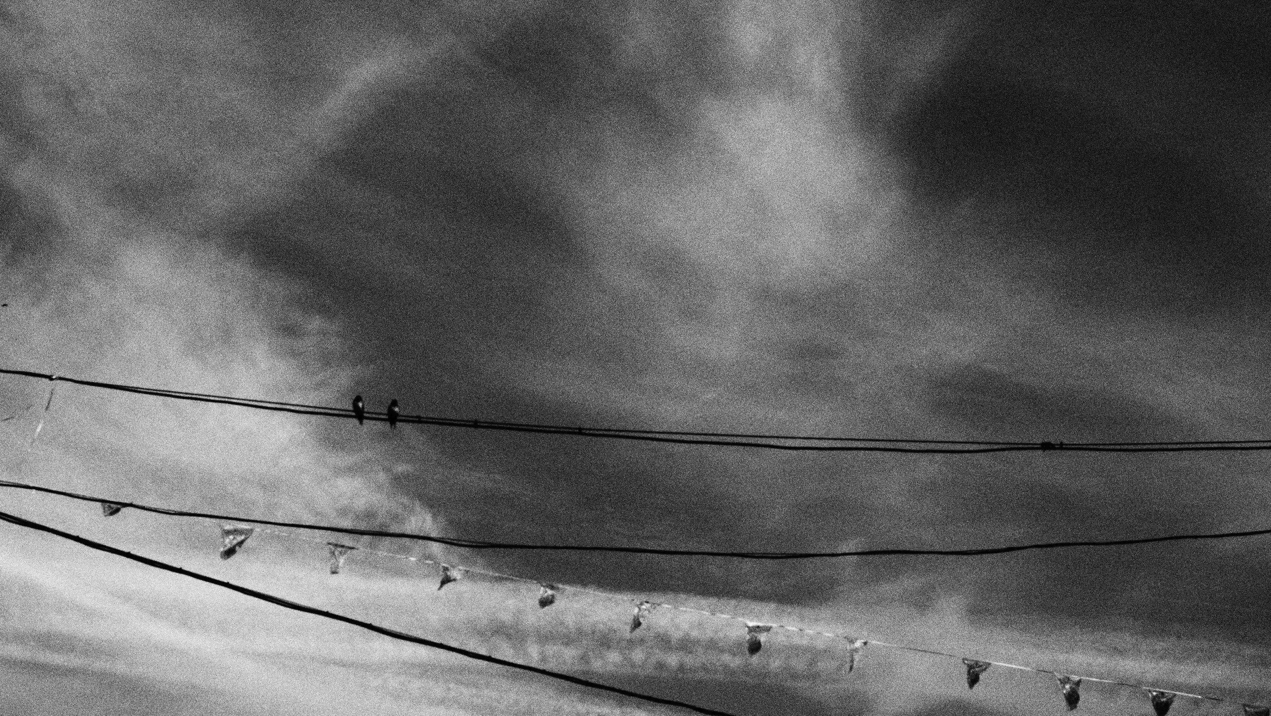 P5182220.JPG