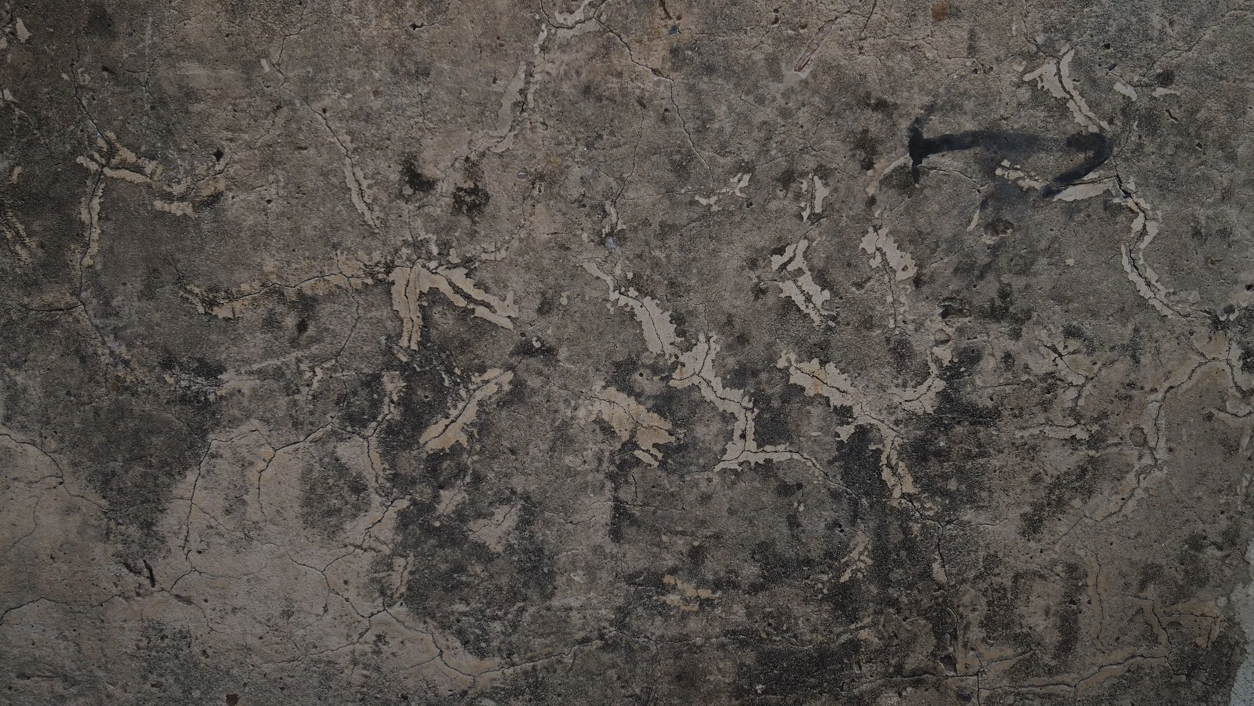 PA120250.JPG