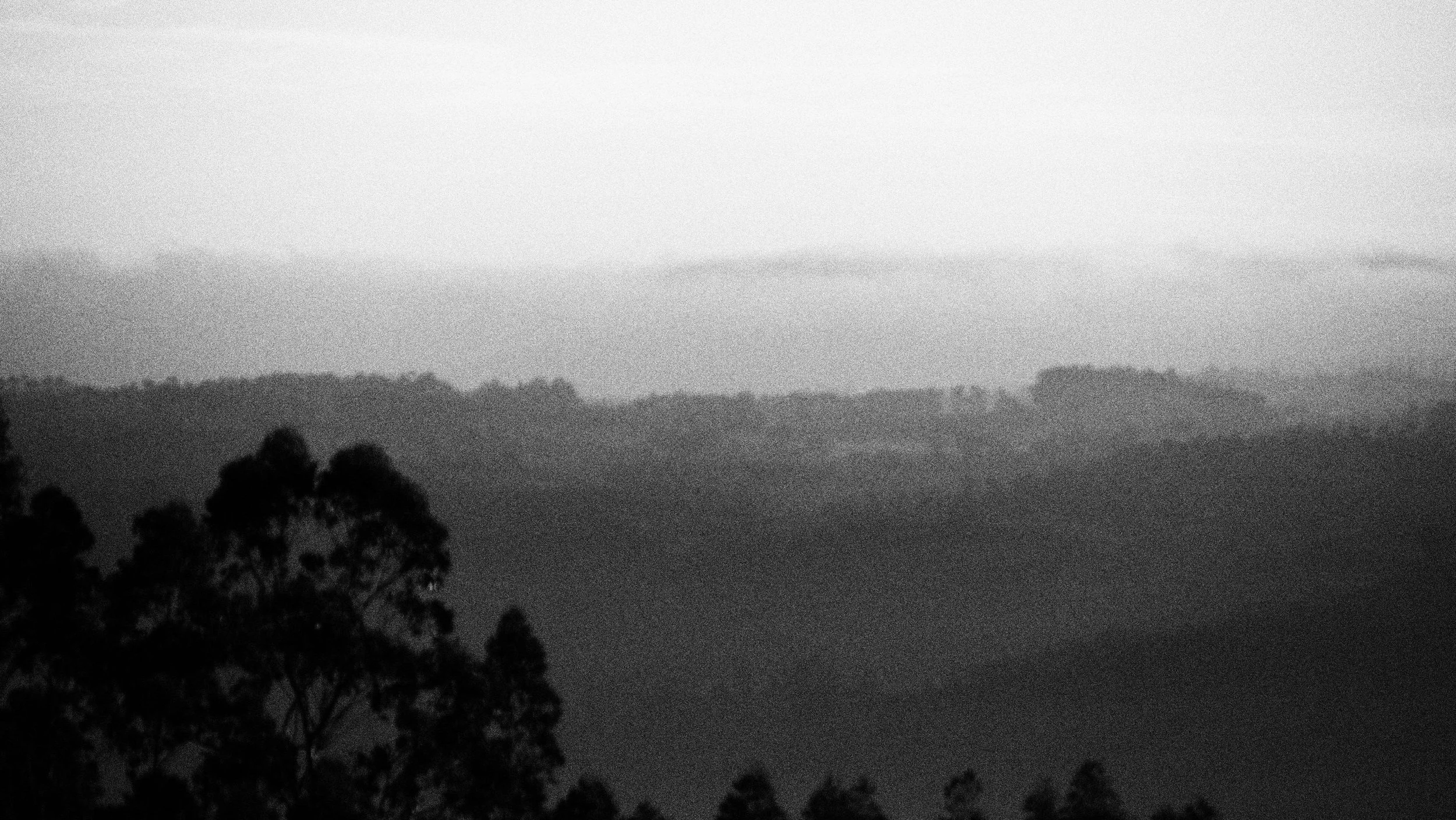 P6010265.JPG
