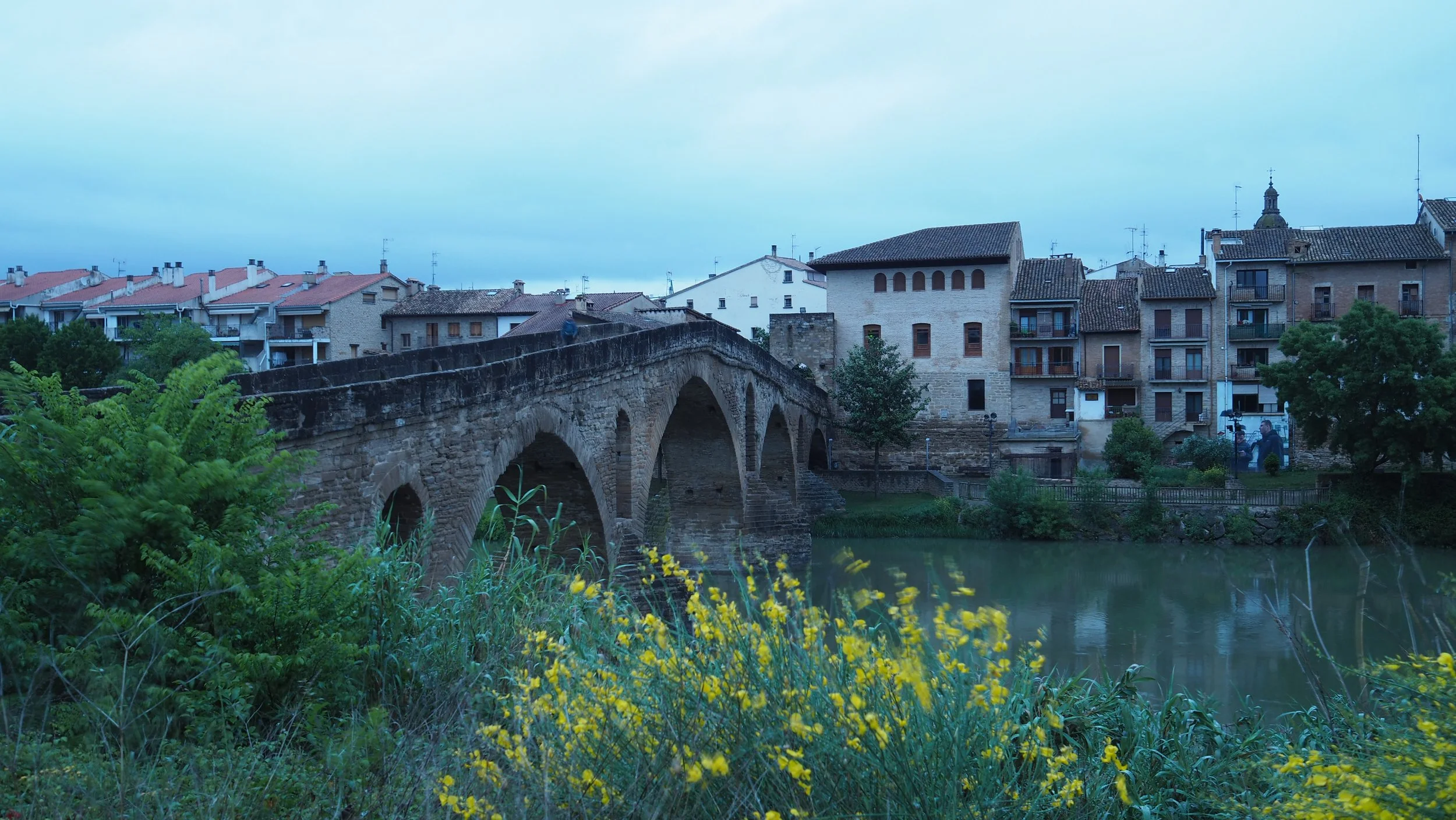 P5030289.JPG
