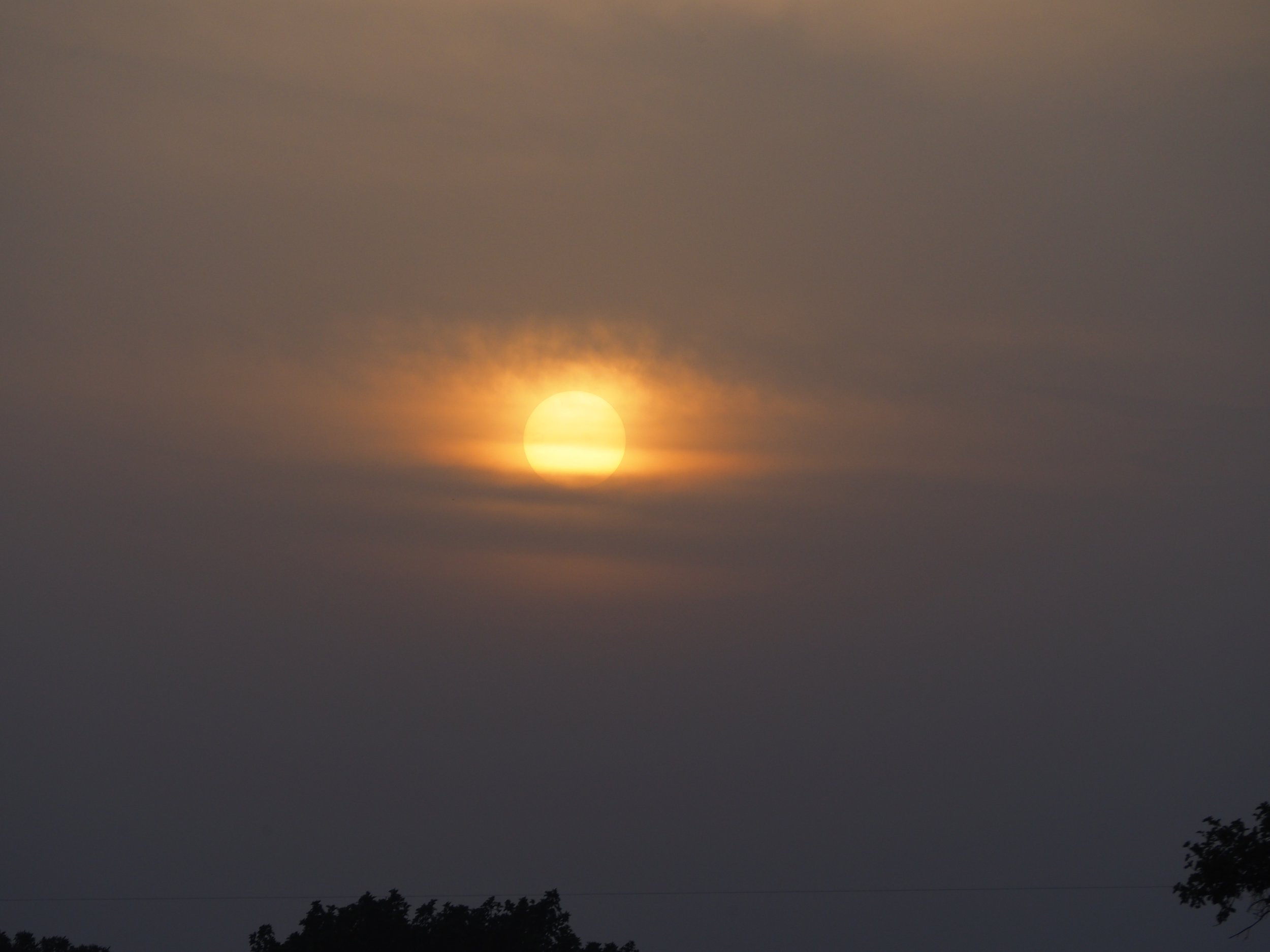IMG_7813.JPG