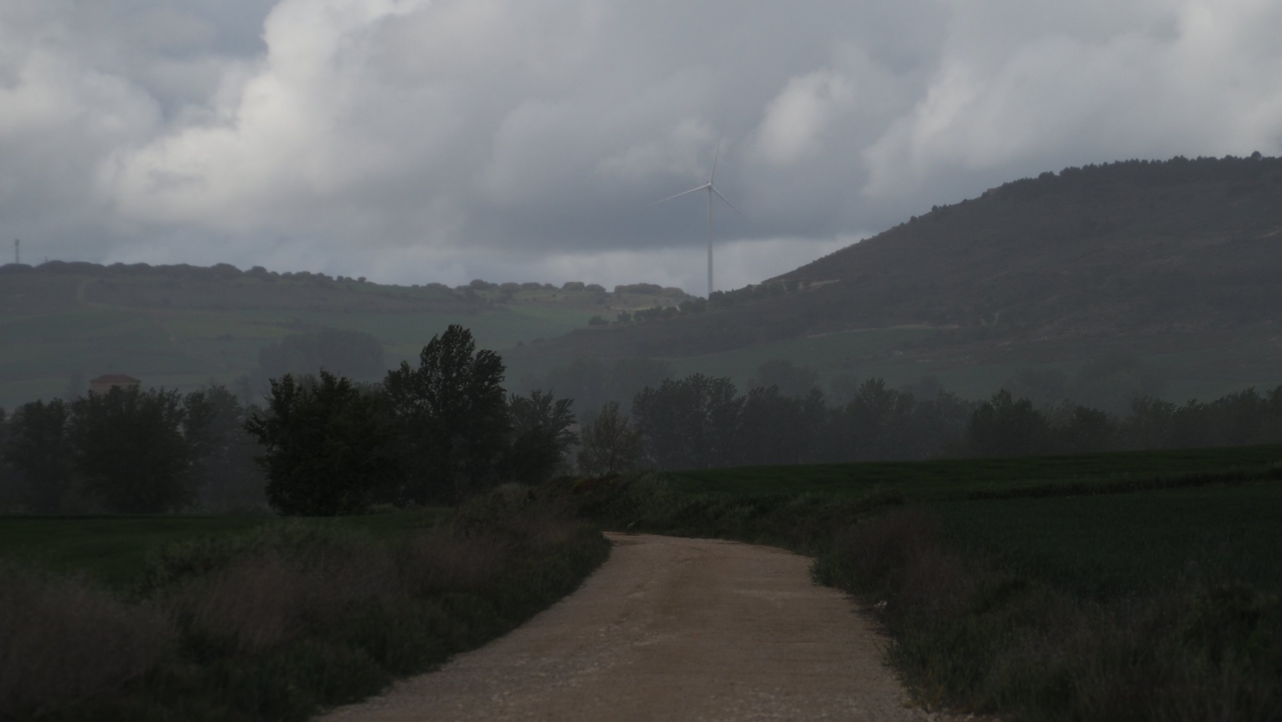 P5111336.JPG