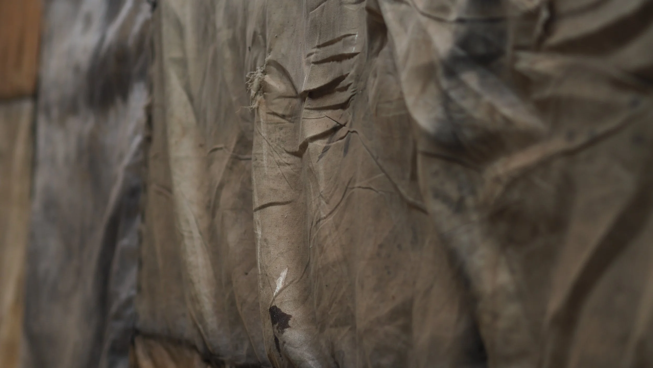PA180235.JPG