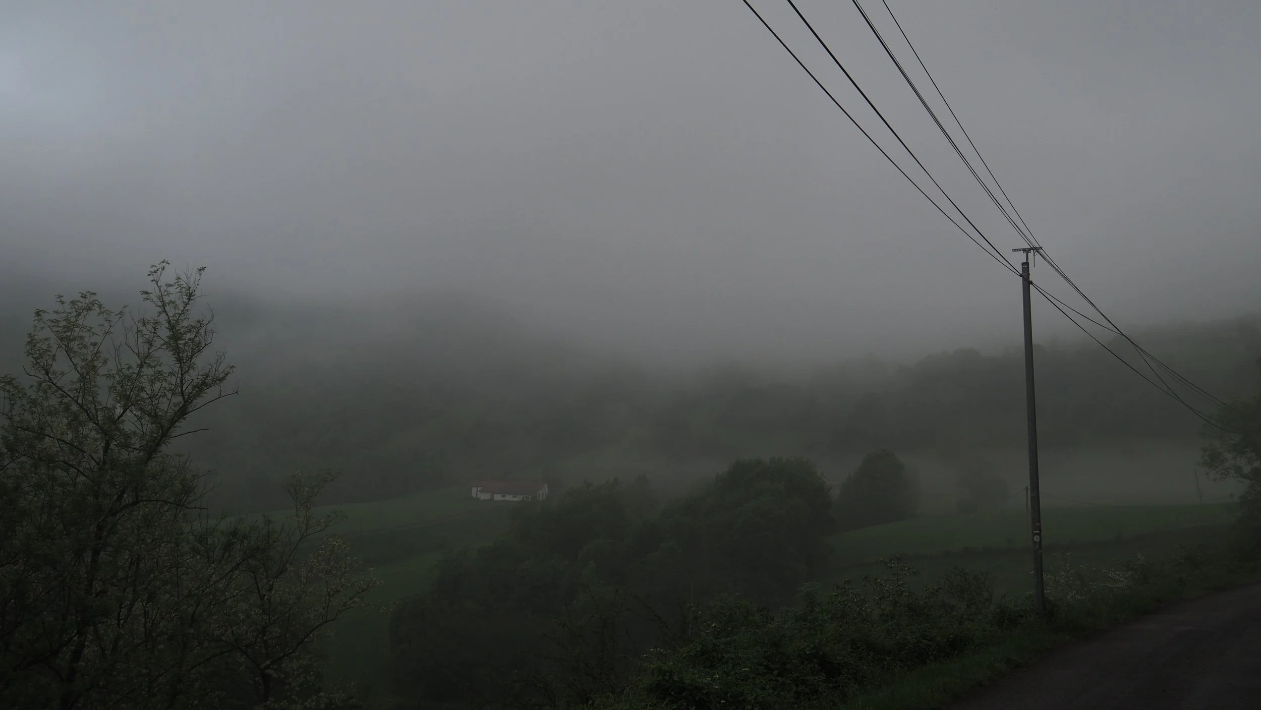 P4290001.JPG