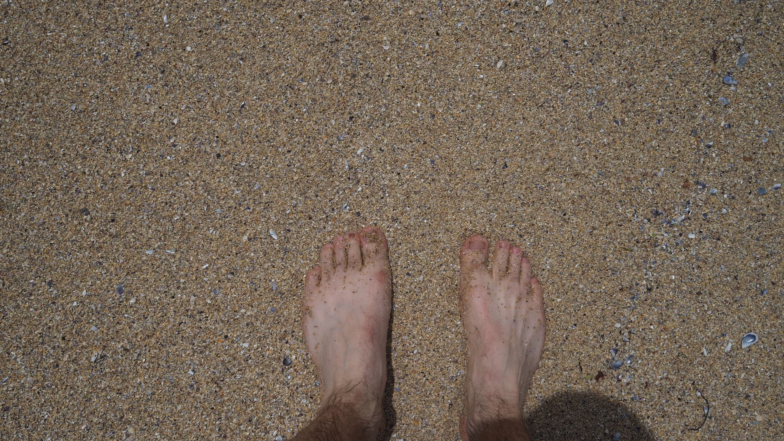 P6040141.JPG