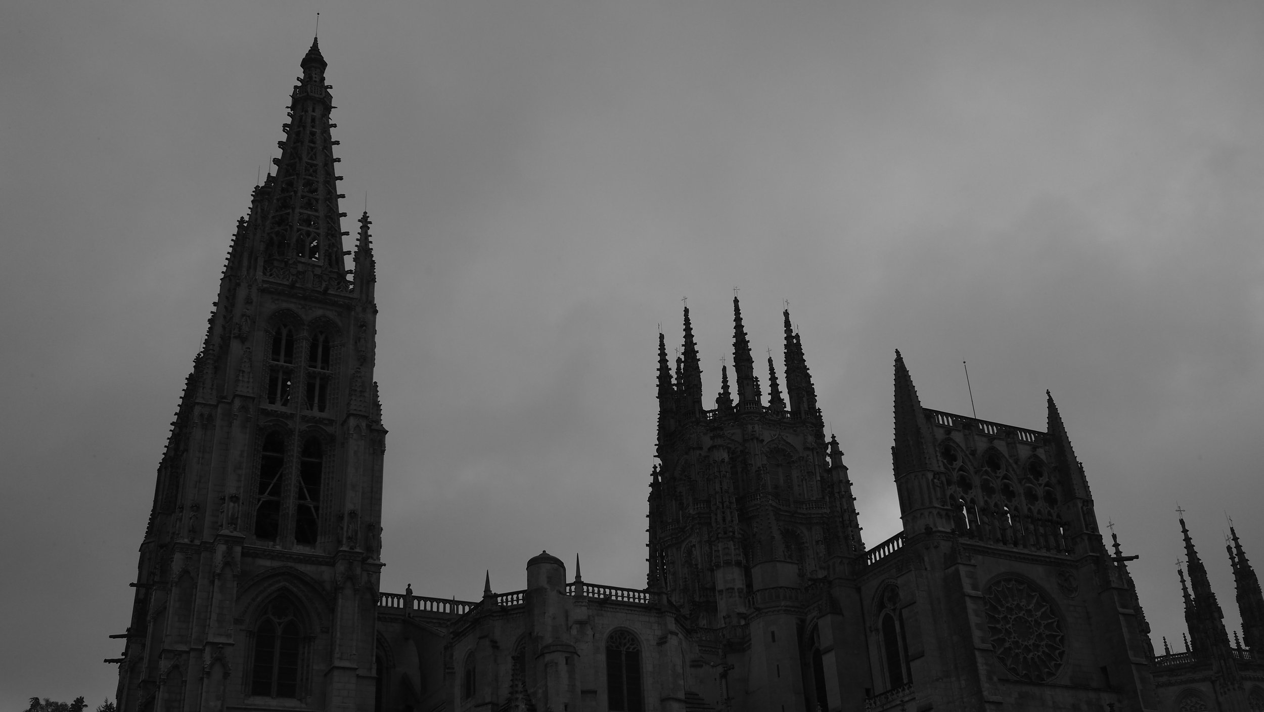 P5101161.JPG