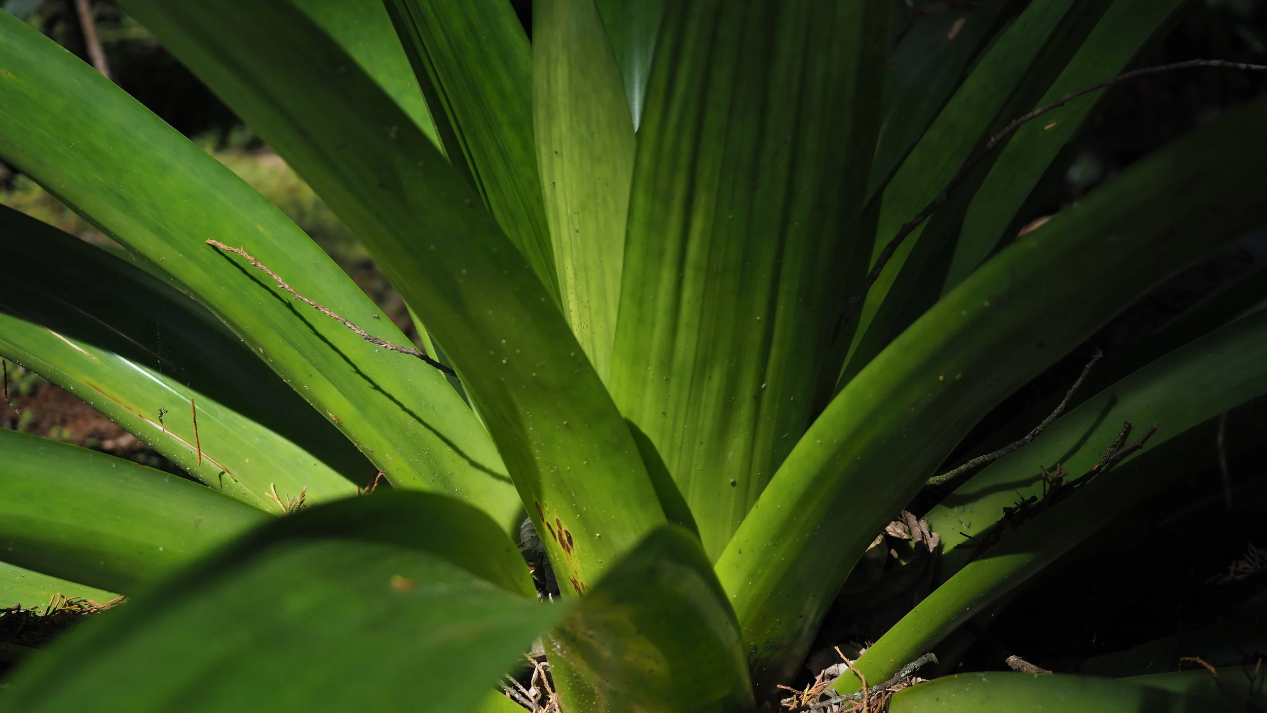P9170005.JPG
