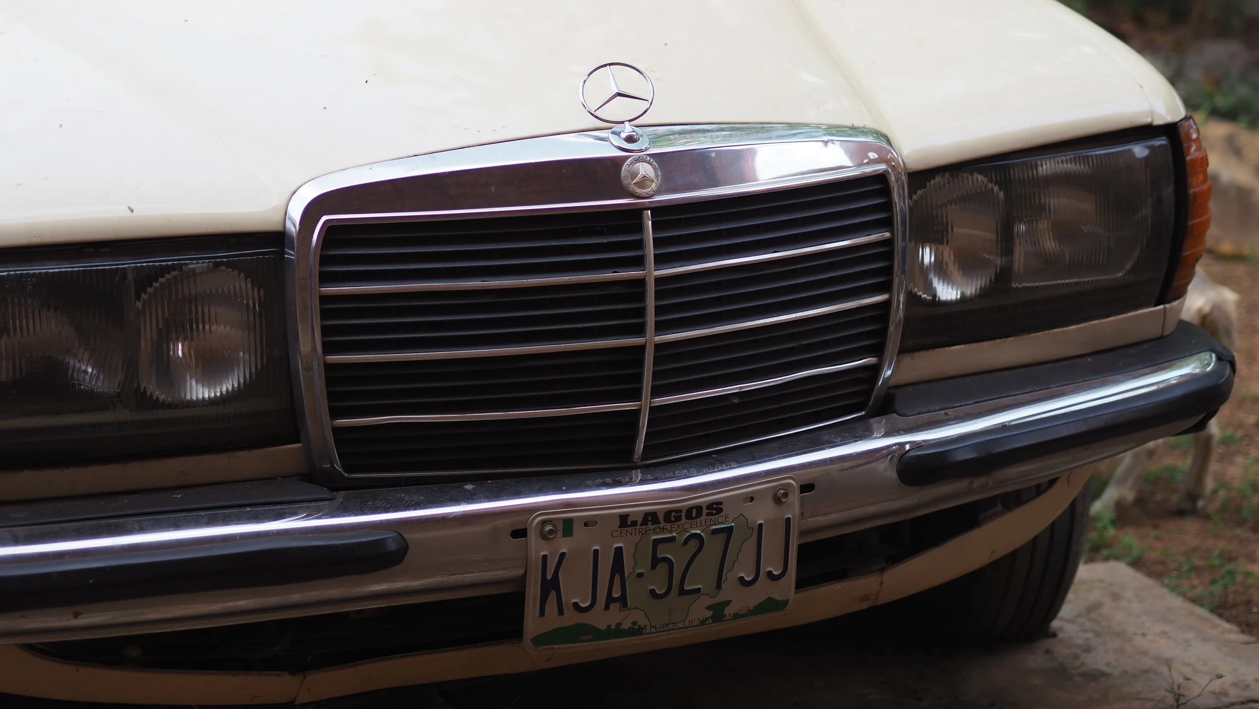 PA180363.JPG