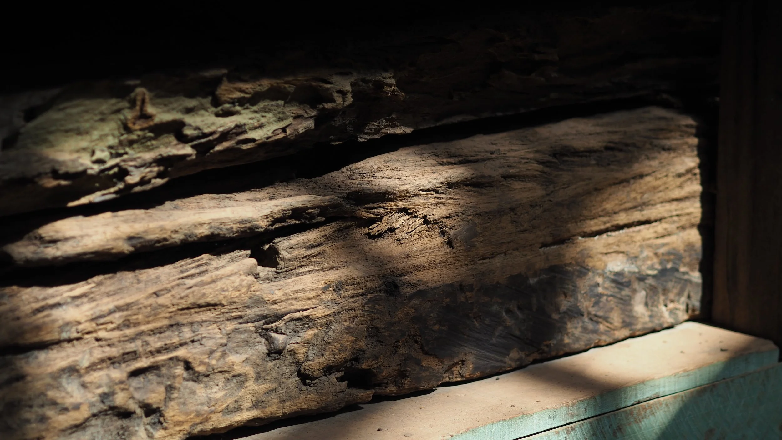 PA180251.JPG