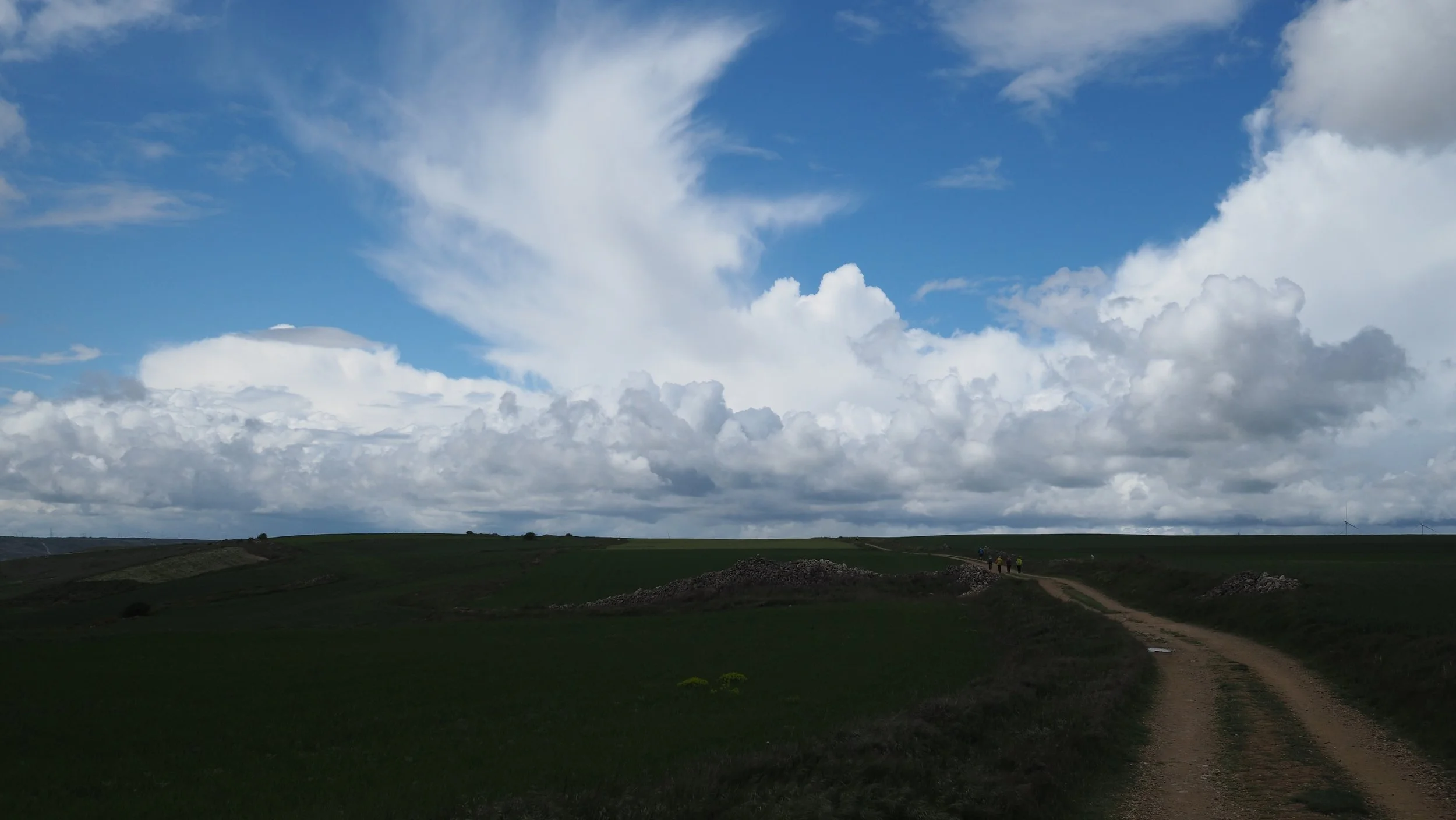 P5111310.JPG