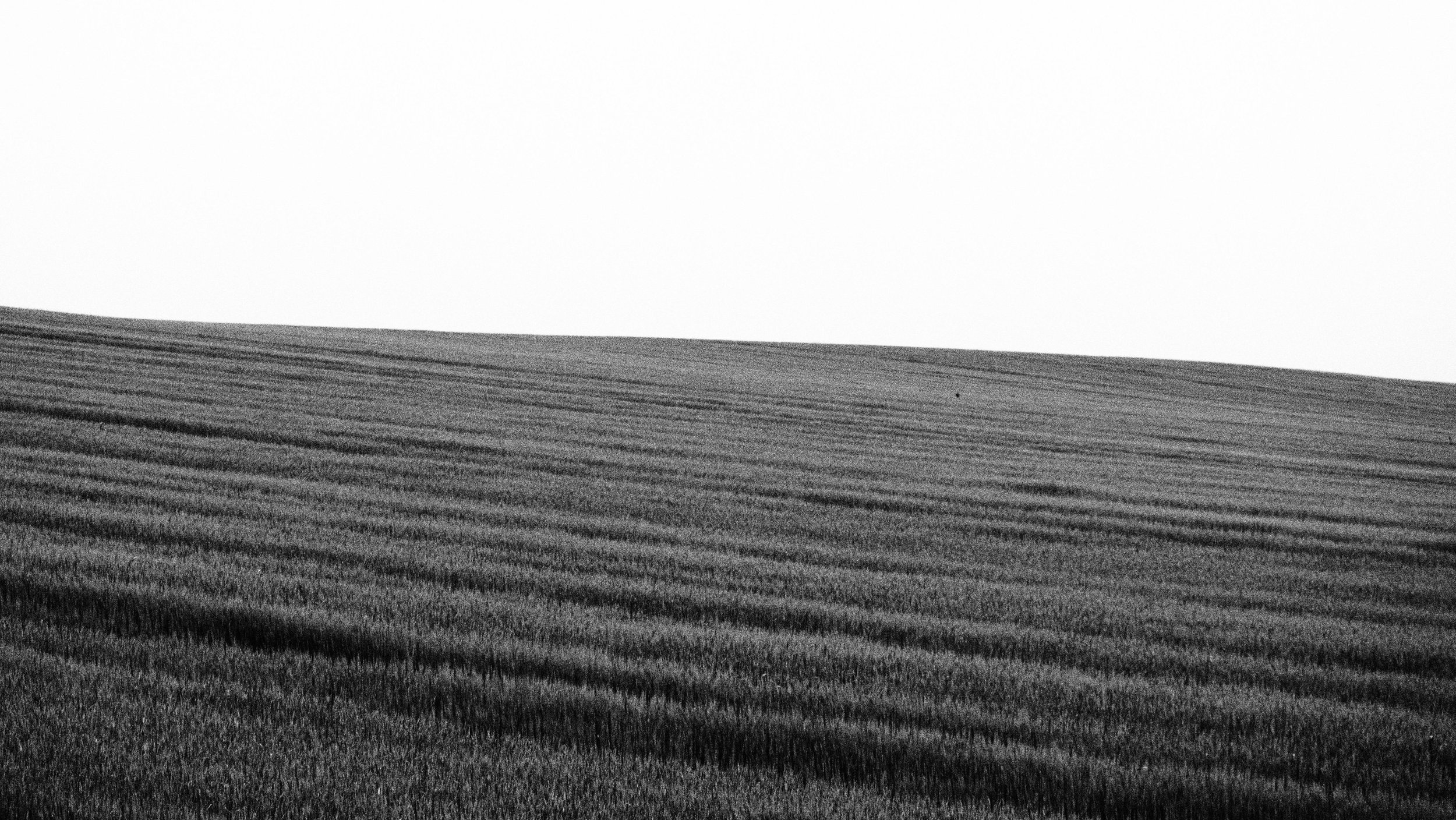 P5080899.JPG