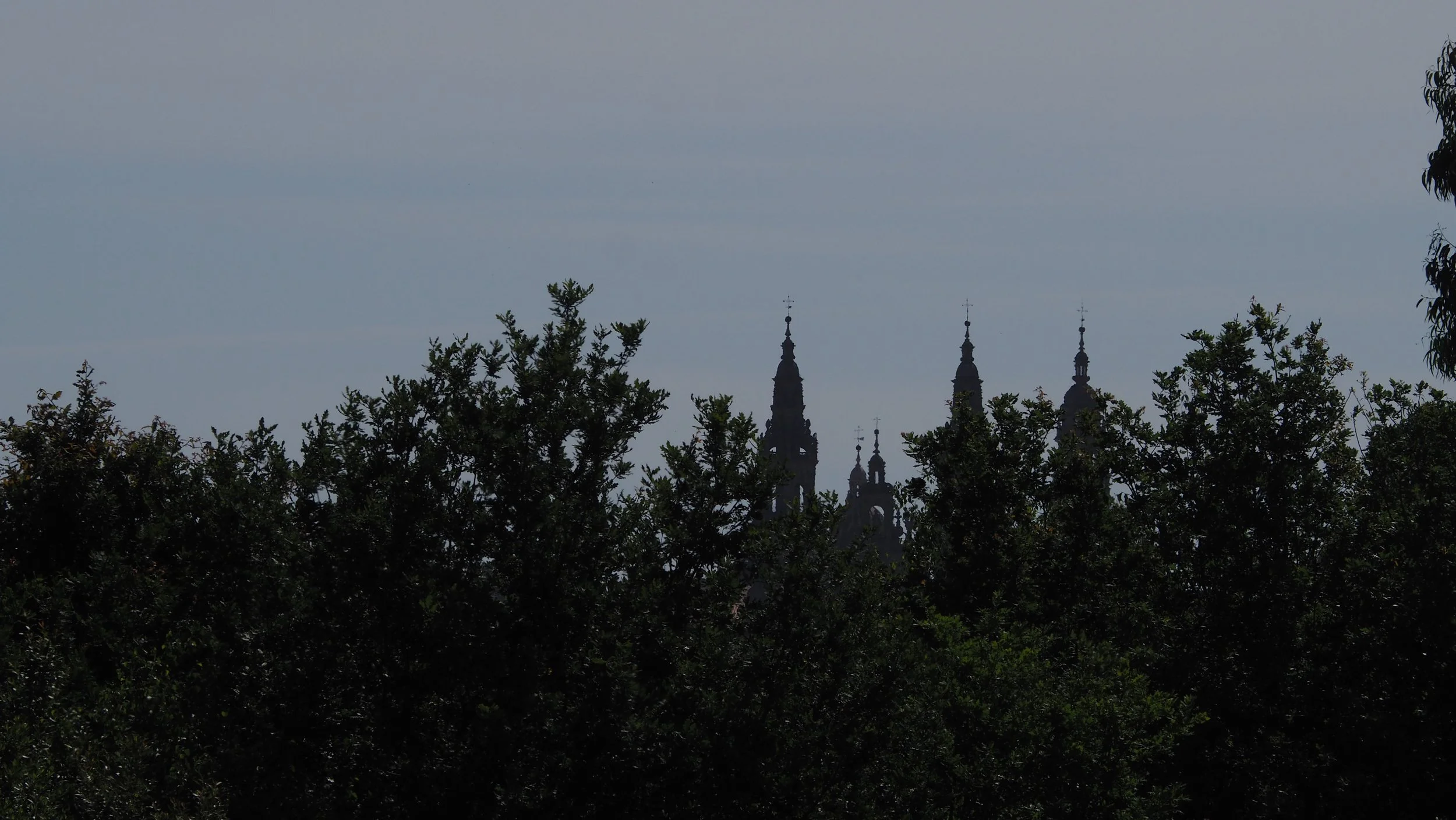 P6070051.JPG