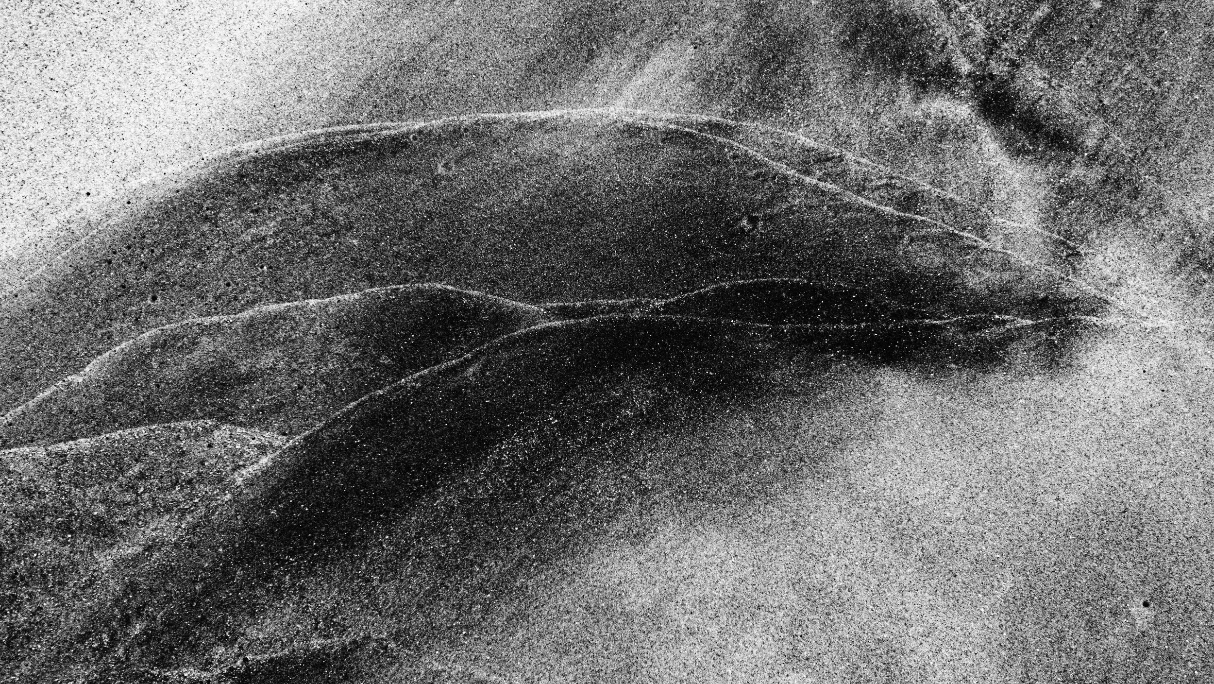 P9200296.JPG