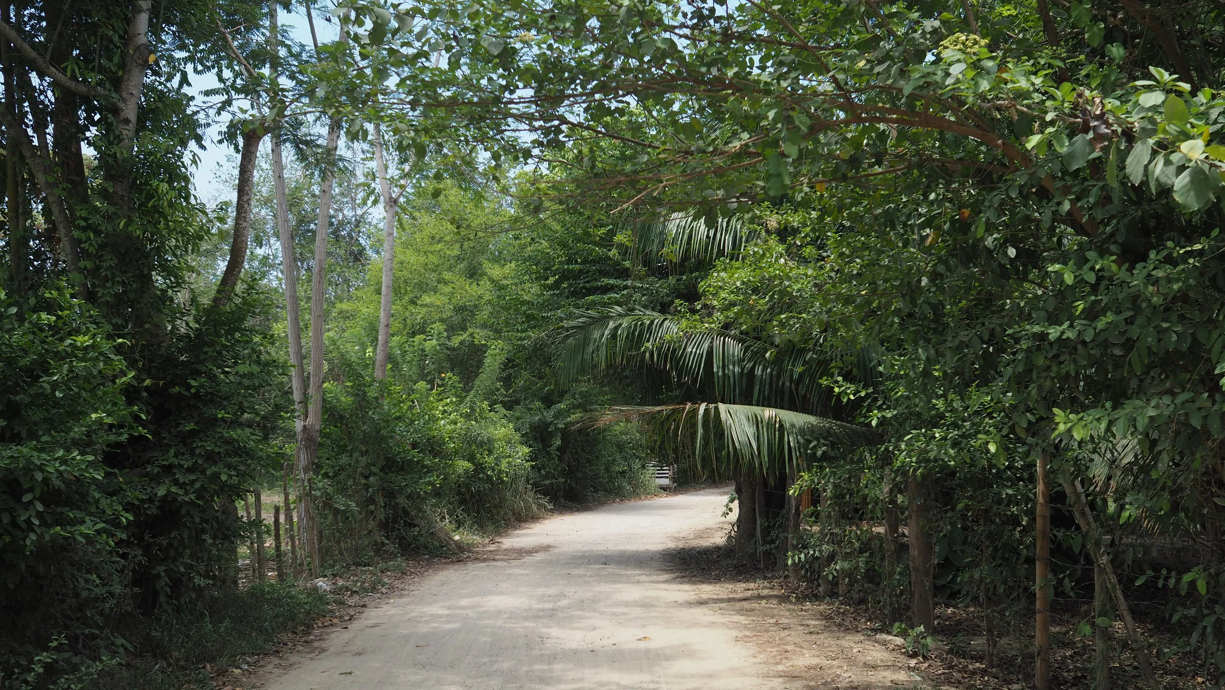 P9190203.JPG
