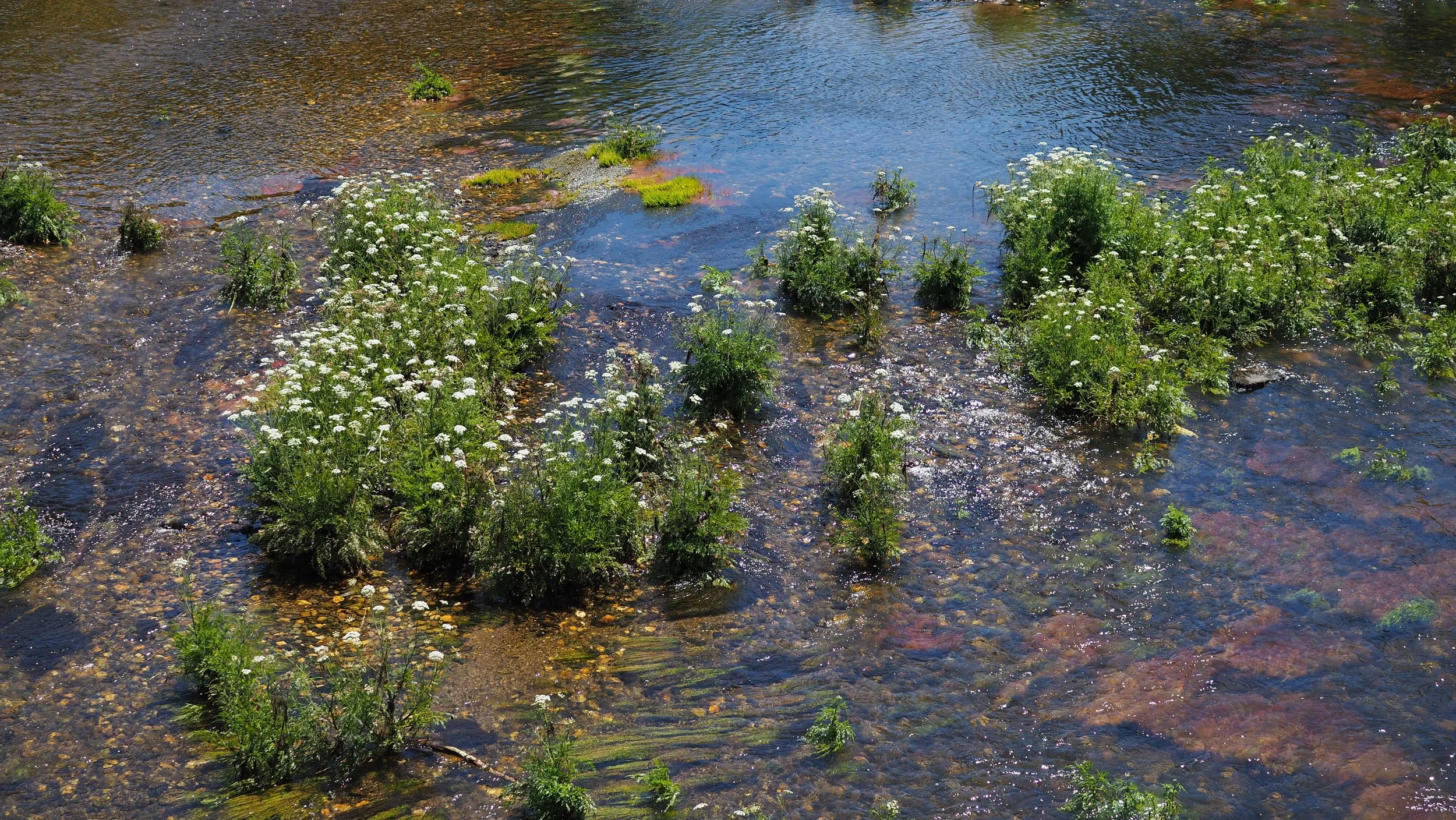 P6010342.JPG