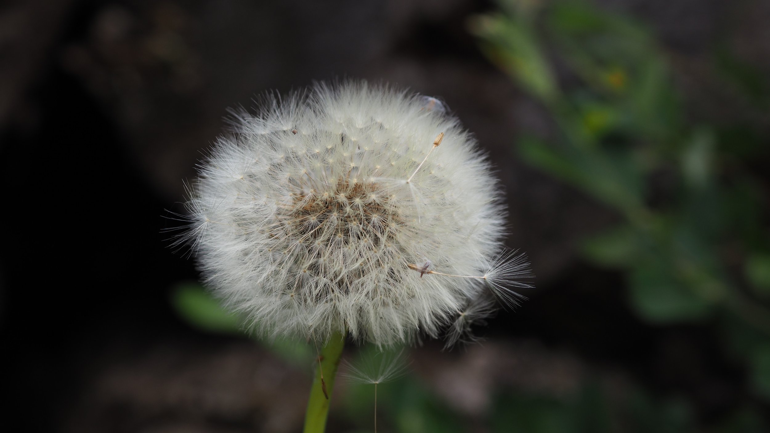 P6010331.JPG