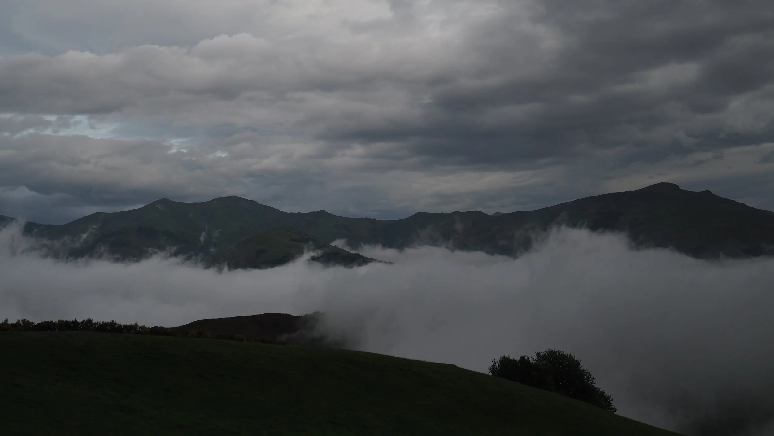 P4290007.JPG