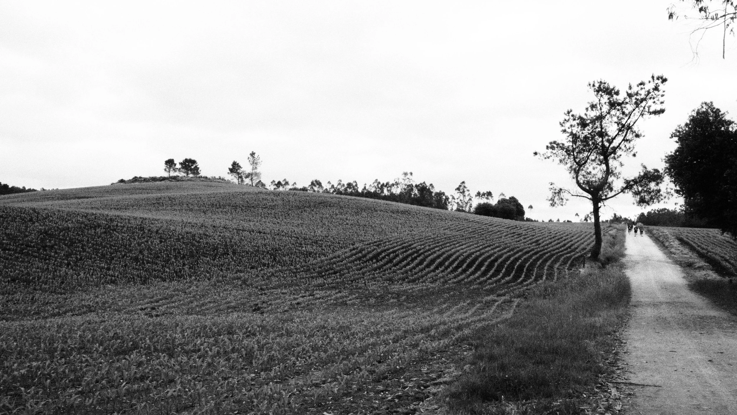 P6060044.JPG