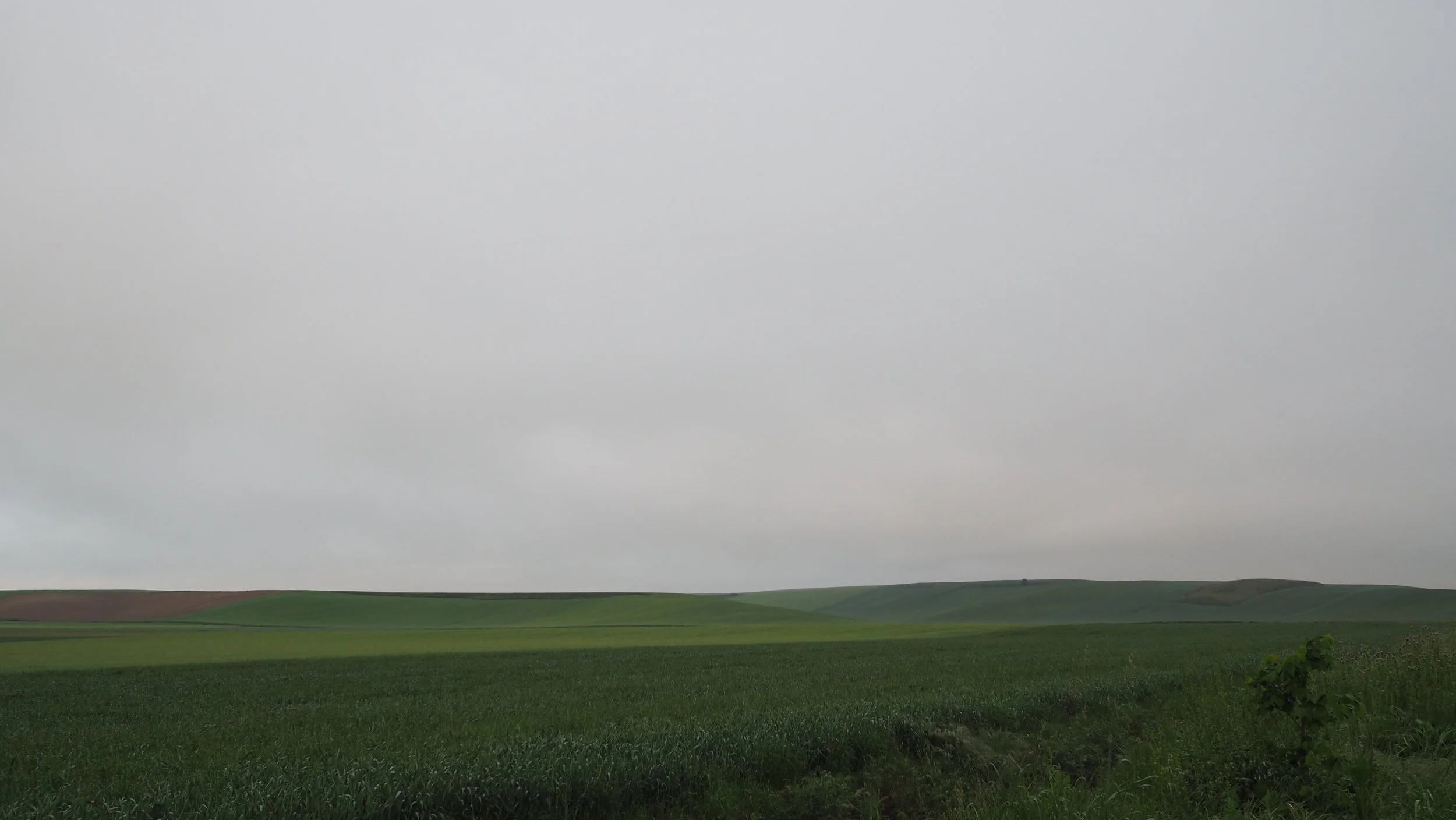 P5080866.JPG