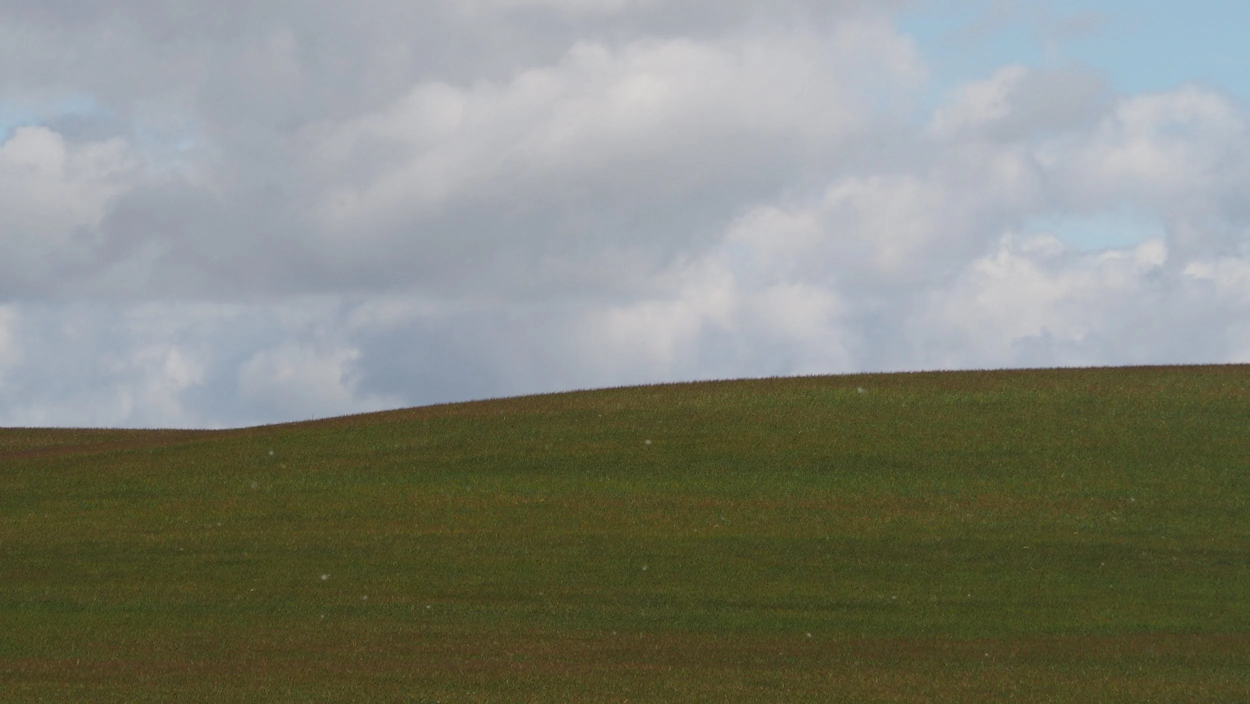 P5141772.JPG
