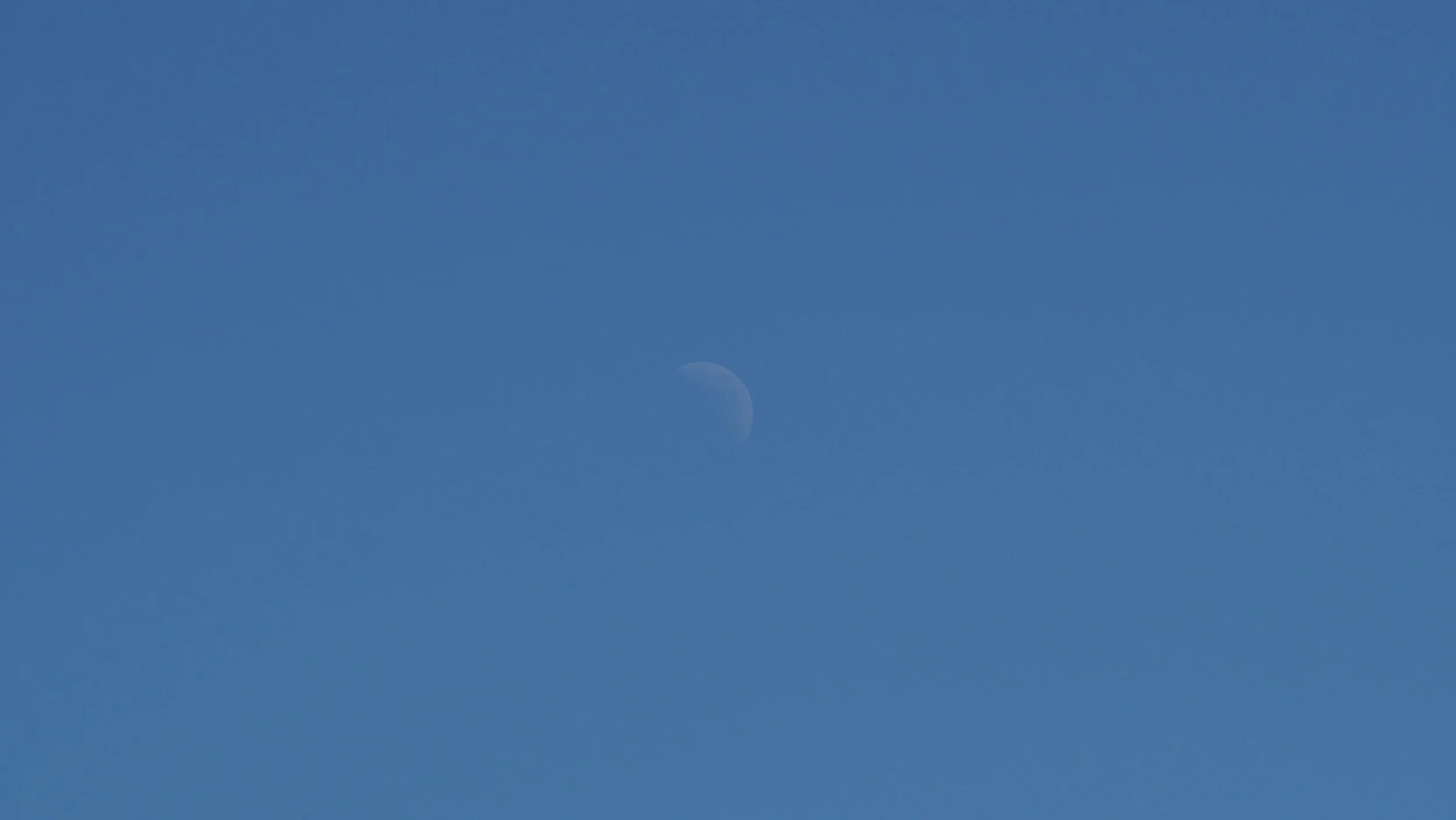 P7200130.JPG