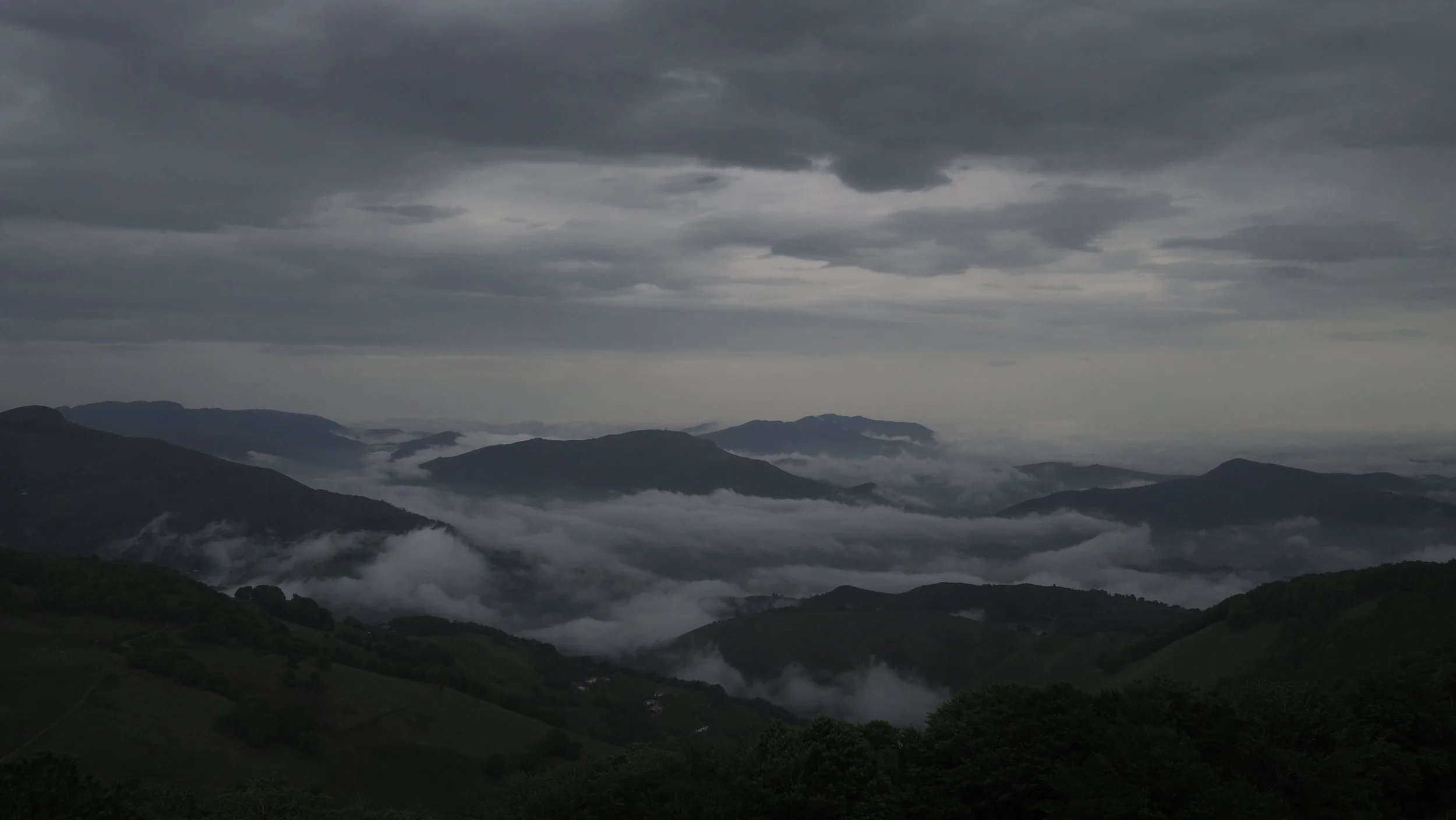 P4290013.JPG